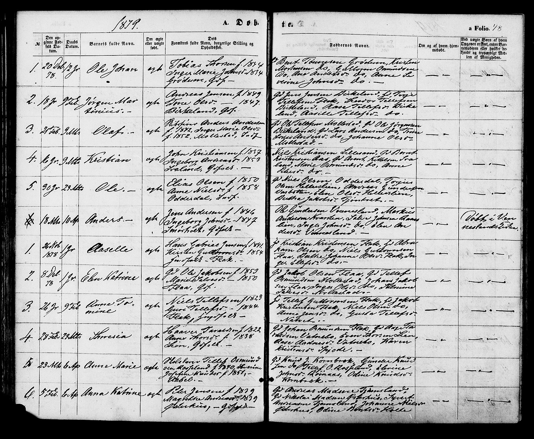 Birkenes sokneprestkontor, SAK/1111-0004/F/Fa/L0004: Parish register (official) no. A 4, 1867-1886, p. 48