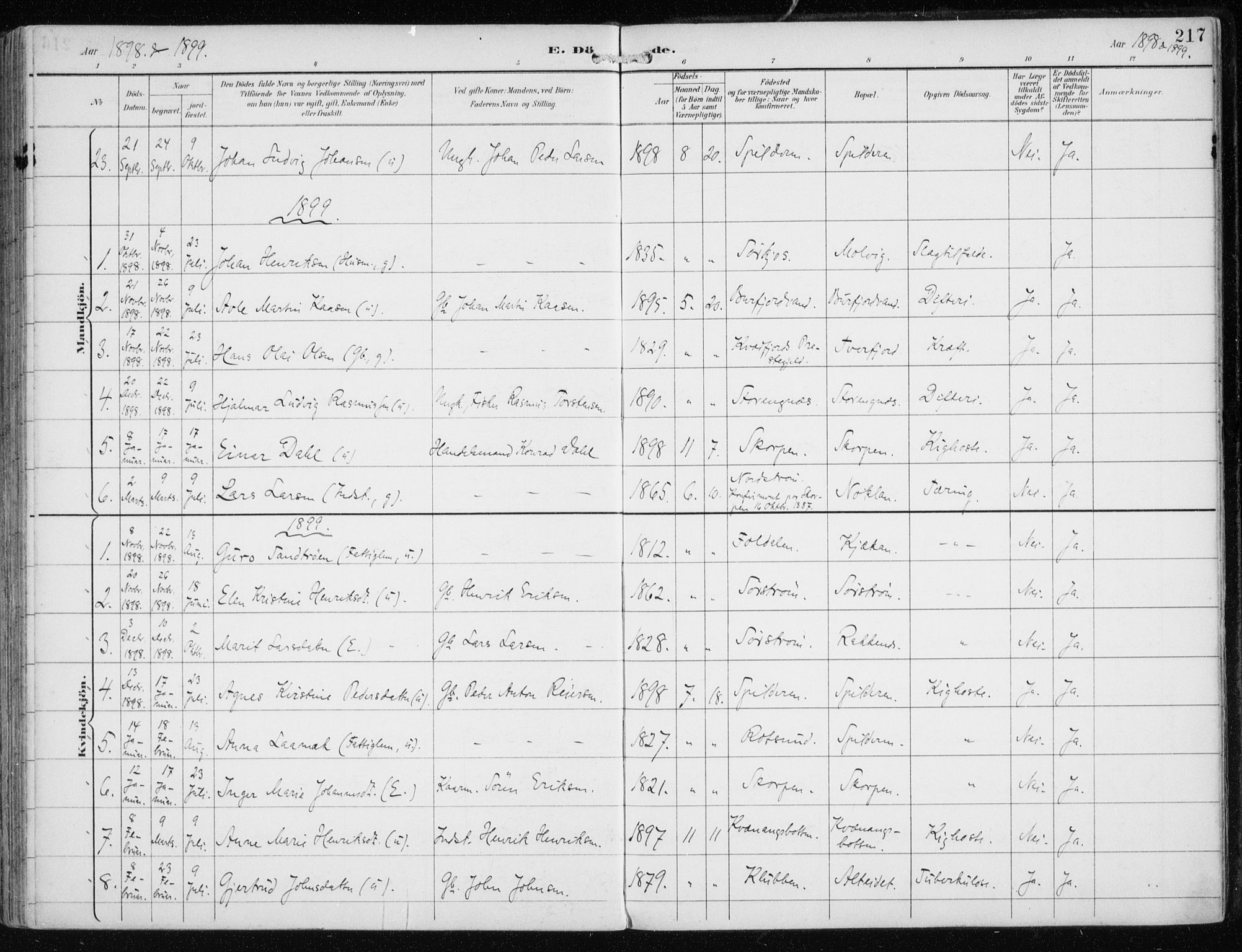 Skjervøy sokneprestkontor, AV/SATØ-S-1300/H/Ha/Haa/L0016kirke: Parish register (official) no. 16, 1892-1908, p. 217