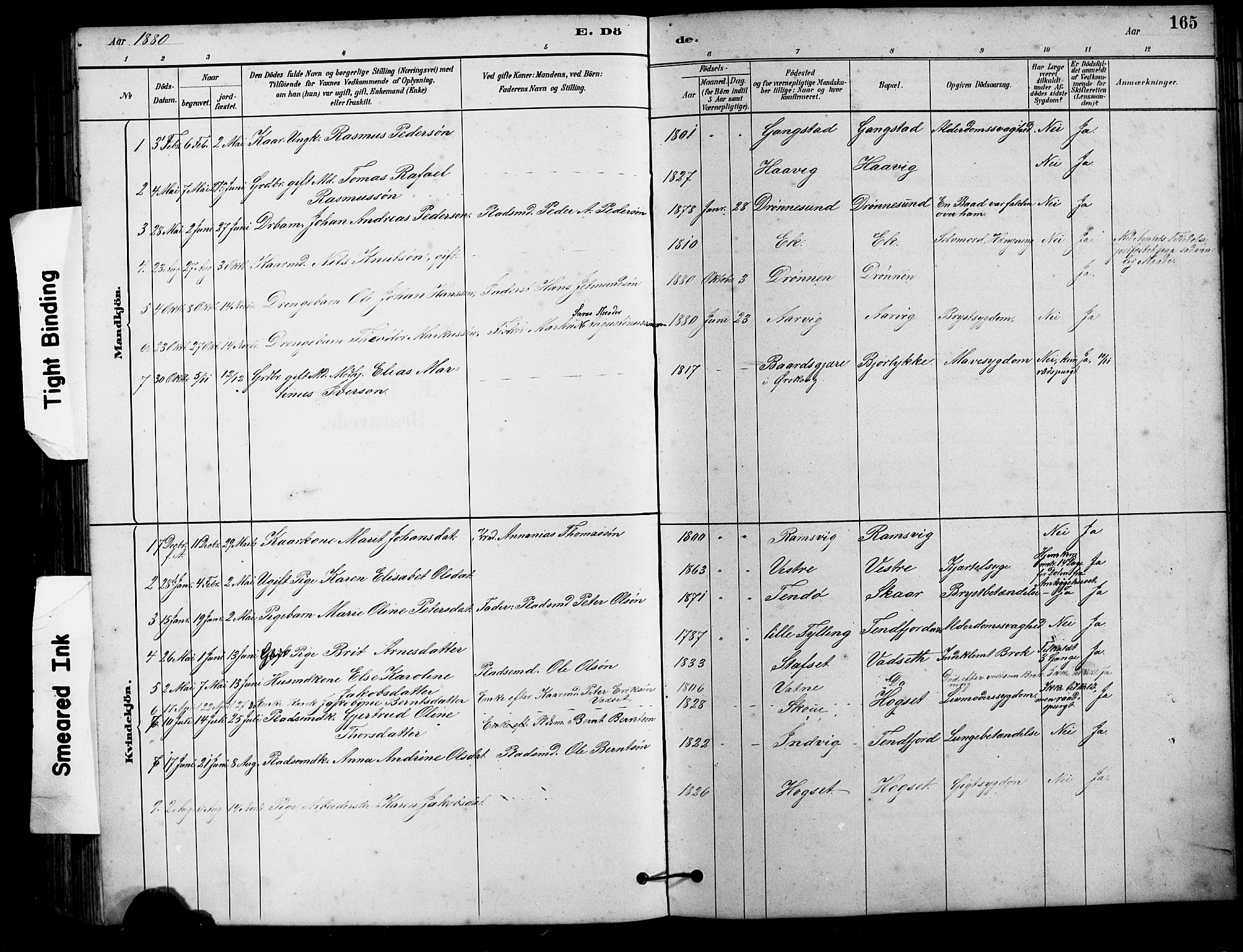 Ministerialprotokoller, klokkerbøker og fødselsregistre - Møre og Romsdal, AV/SAT-A-1454/525/L0376: Parish register (copy) no. 525C02, 1880-1902, p. 165