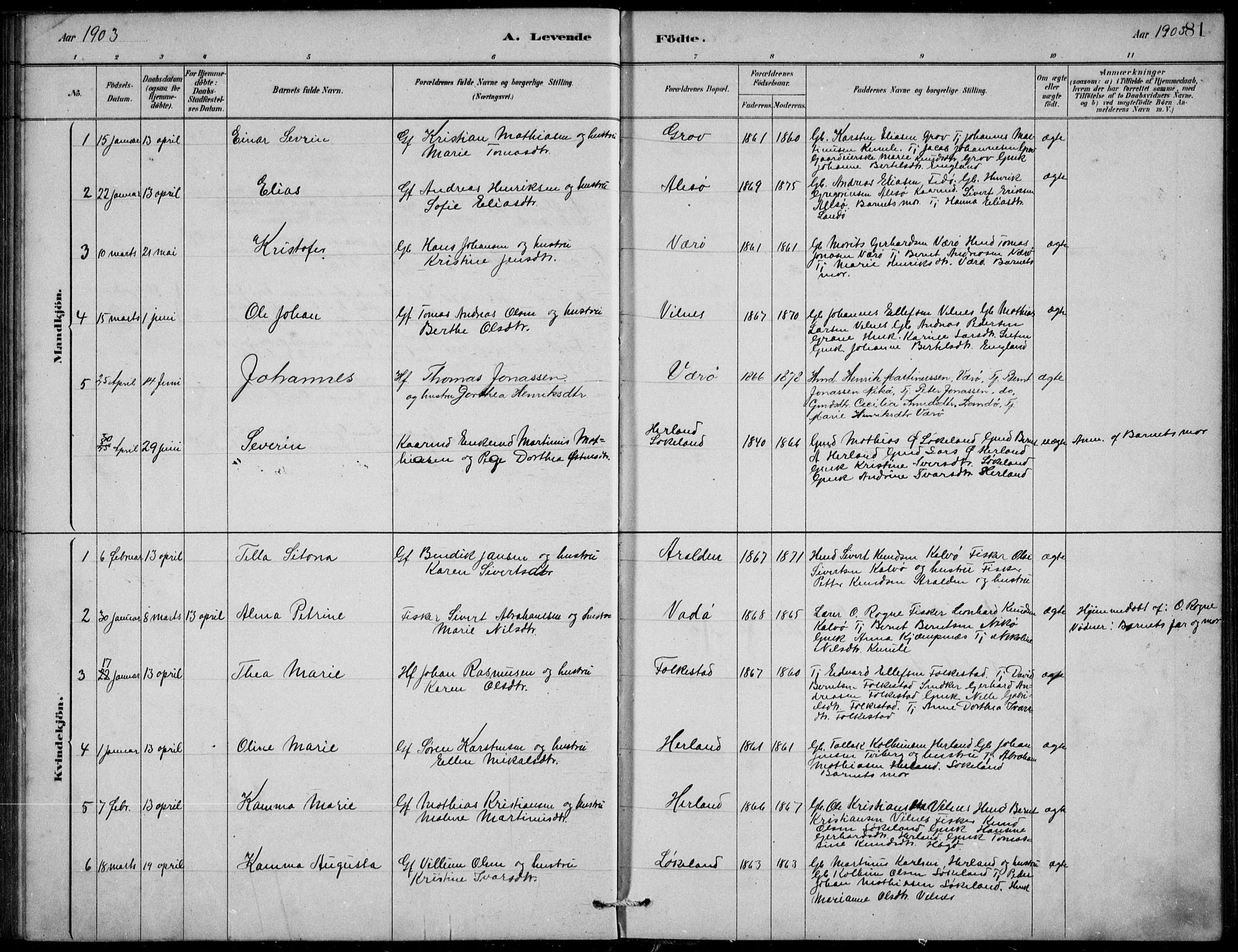 Askvoll sokneprestembete, SAB/A-79501/H/Hab/Habb/L0001: Parish register (copy) no. B 1, 1879-1909, p. 81