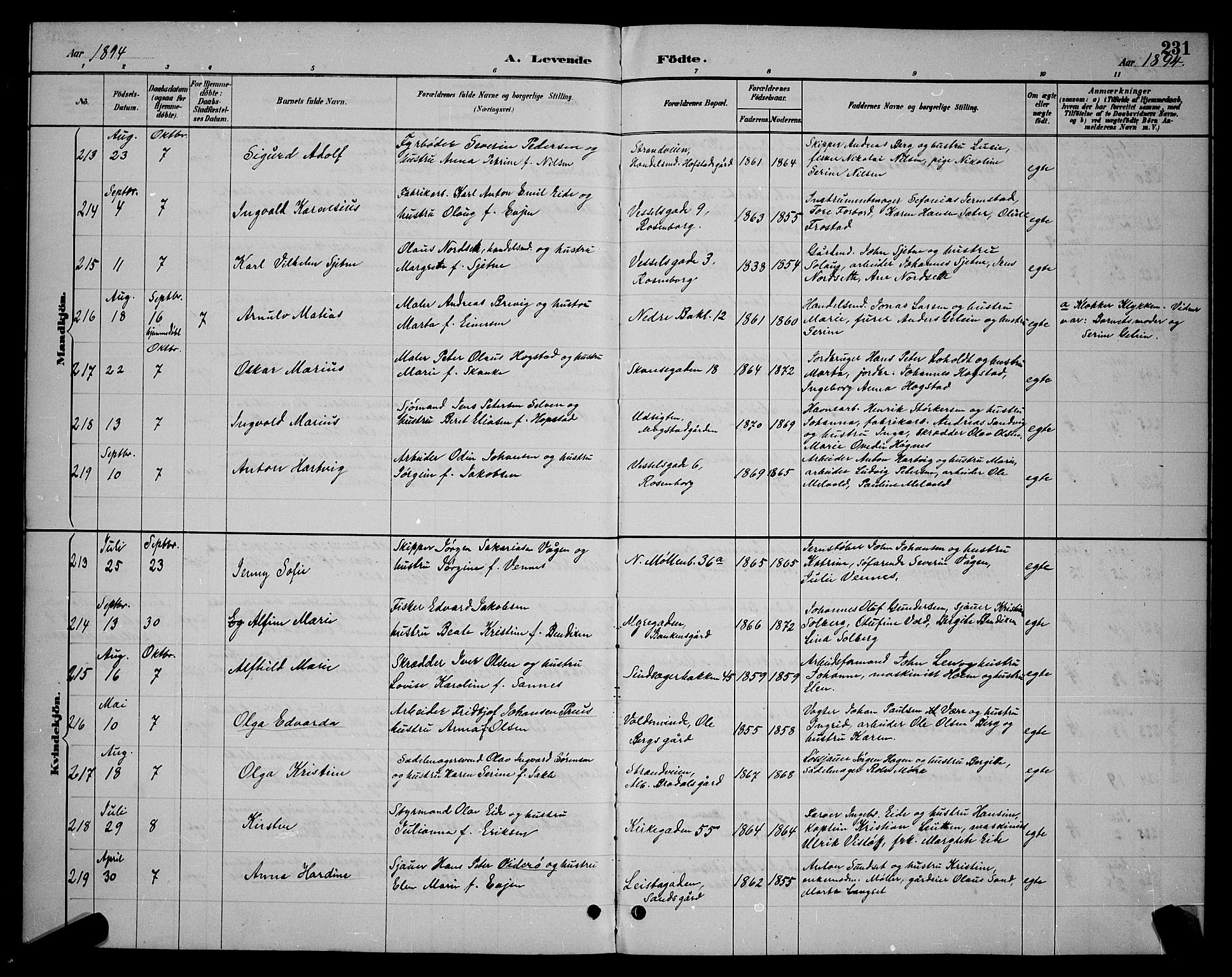 Ministerialprotokoller, klokkerbøker og fødselsregistre - Sør-Trøndelag, AV/SAT-A-1456/604/L0222: Parish register (copy) no. 604C05, 1886-1895, p. 231