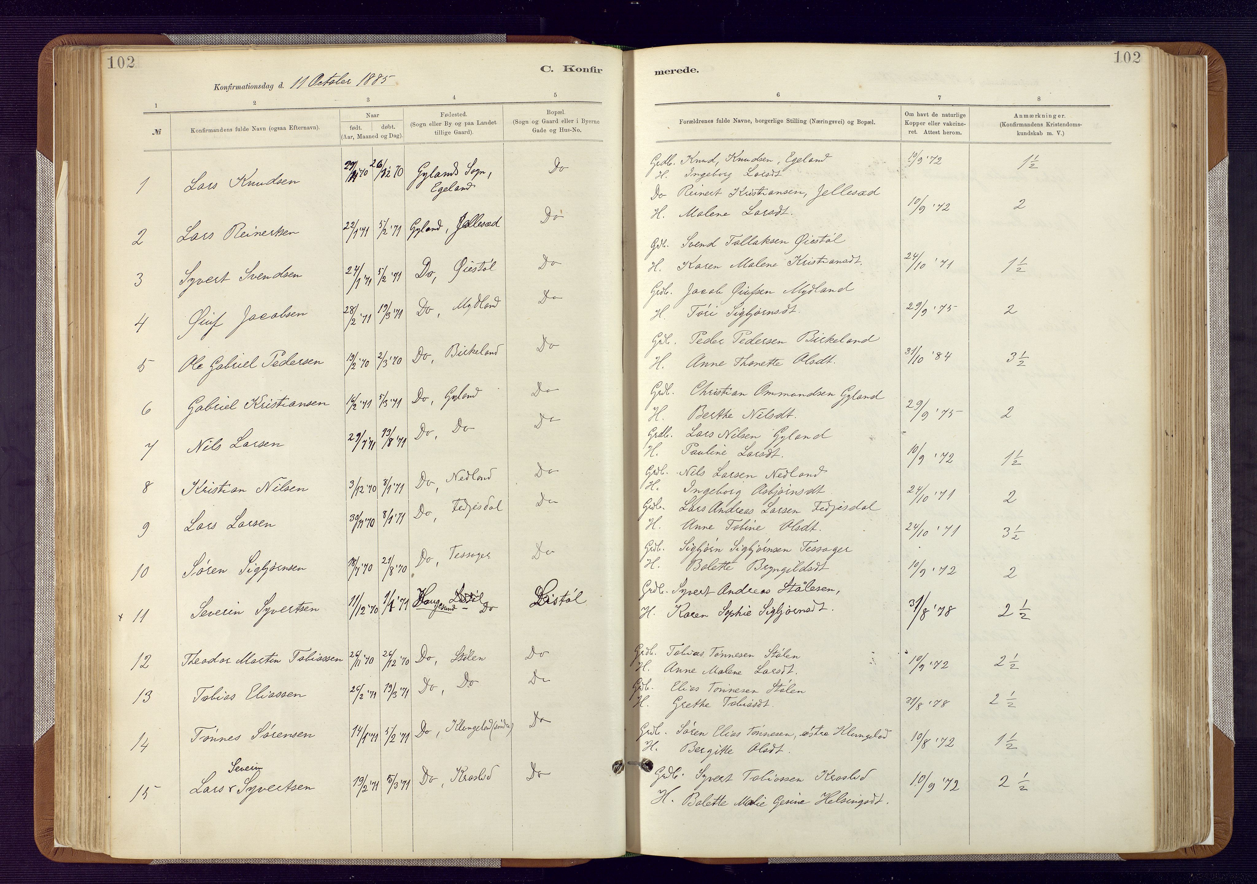 Bakke sokneprestkontor, SAK/1111-0002/F/Fa/Fab/L0003: Parish register (official) no. A 3, 1884-1921, p. 102