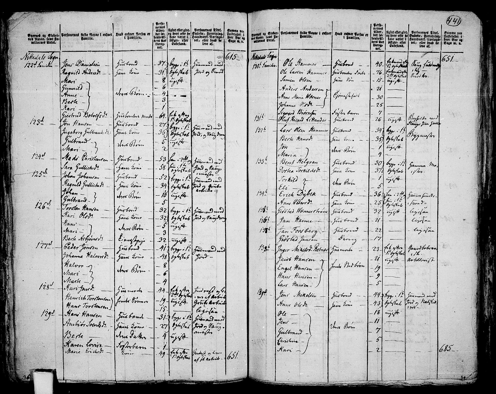 RA, 1801 census for 0233P Nittedal, 1801, p. 440b-441a