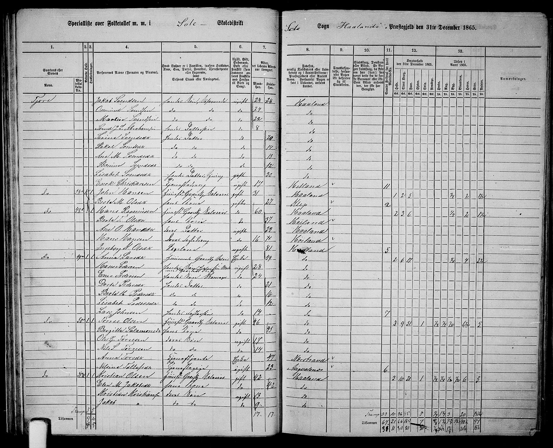 RA, 1865 census for Håland, 1865, p. 37