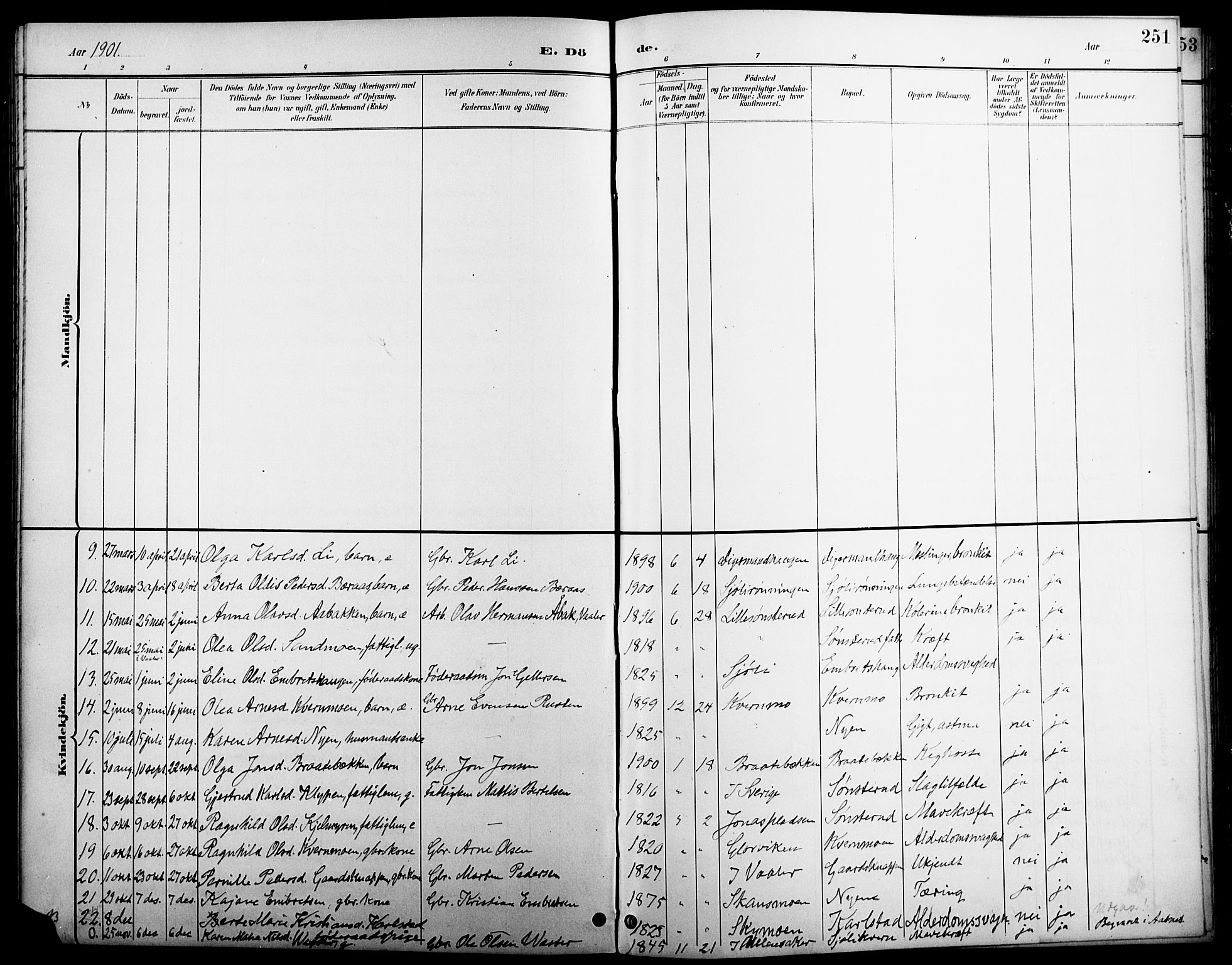 Åsnes prestekontor, AV/SAH-PREST-042/H/Ha/Hab/L0005: Parish register (copy) no. 5, 1895-1920, p. 251