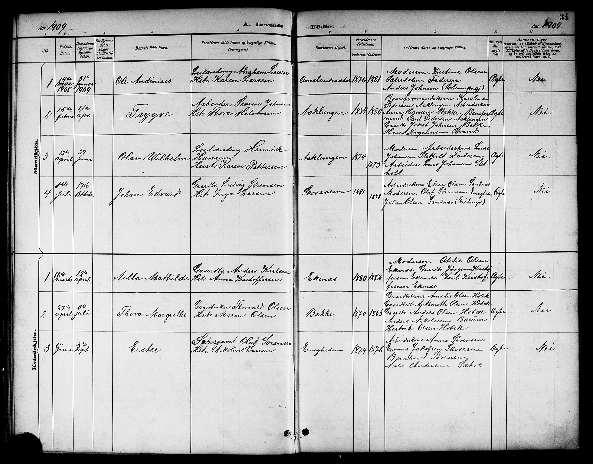 Brunlanes kirkebøker, SAKO/A-342/G/Gc/L0002: Parish register (copy) no. III 2, 1891-1922, p. 34