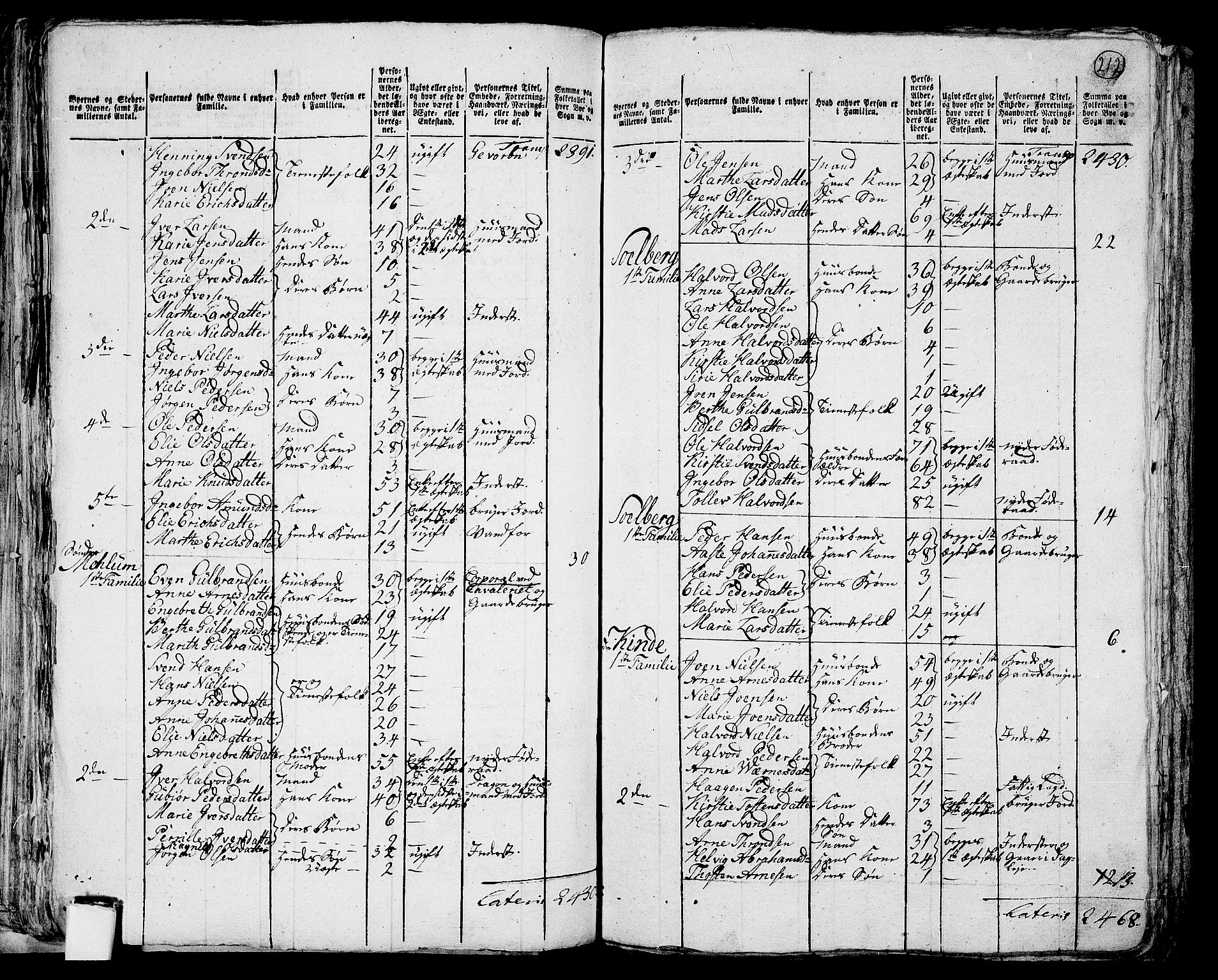 RA, 1801 census for 0412P Ringsaker, 1801, p. 211b-212a