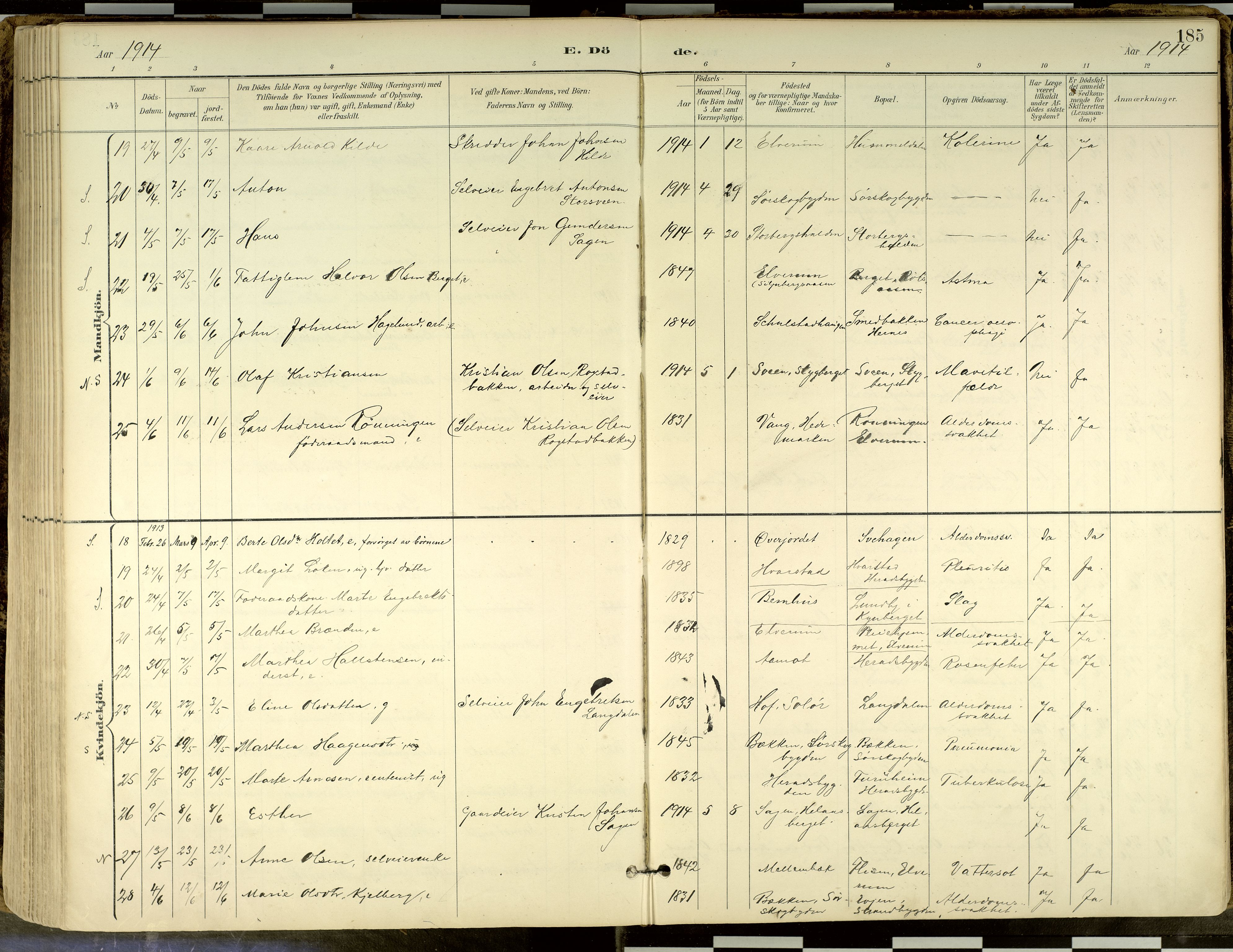 Elverum prestekontor, AV/SAH-PREST-044/H/Ha/Haa/L0018: Parish register (official) no. 18, 1894-1914, p. 185