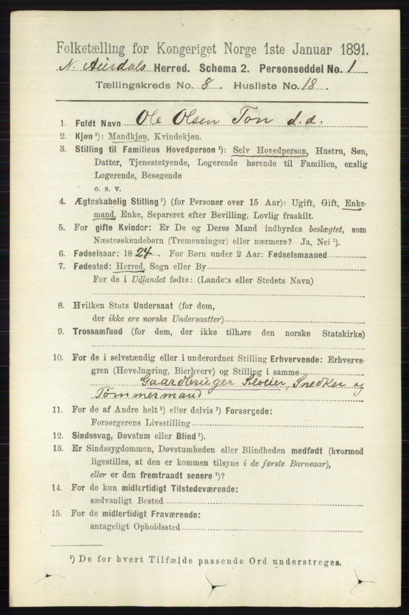 RA, 1891 census for 0542 Nord-Aurdal, 1891, p. 2906