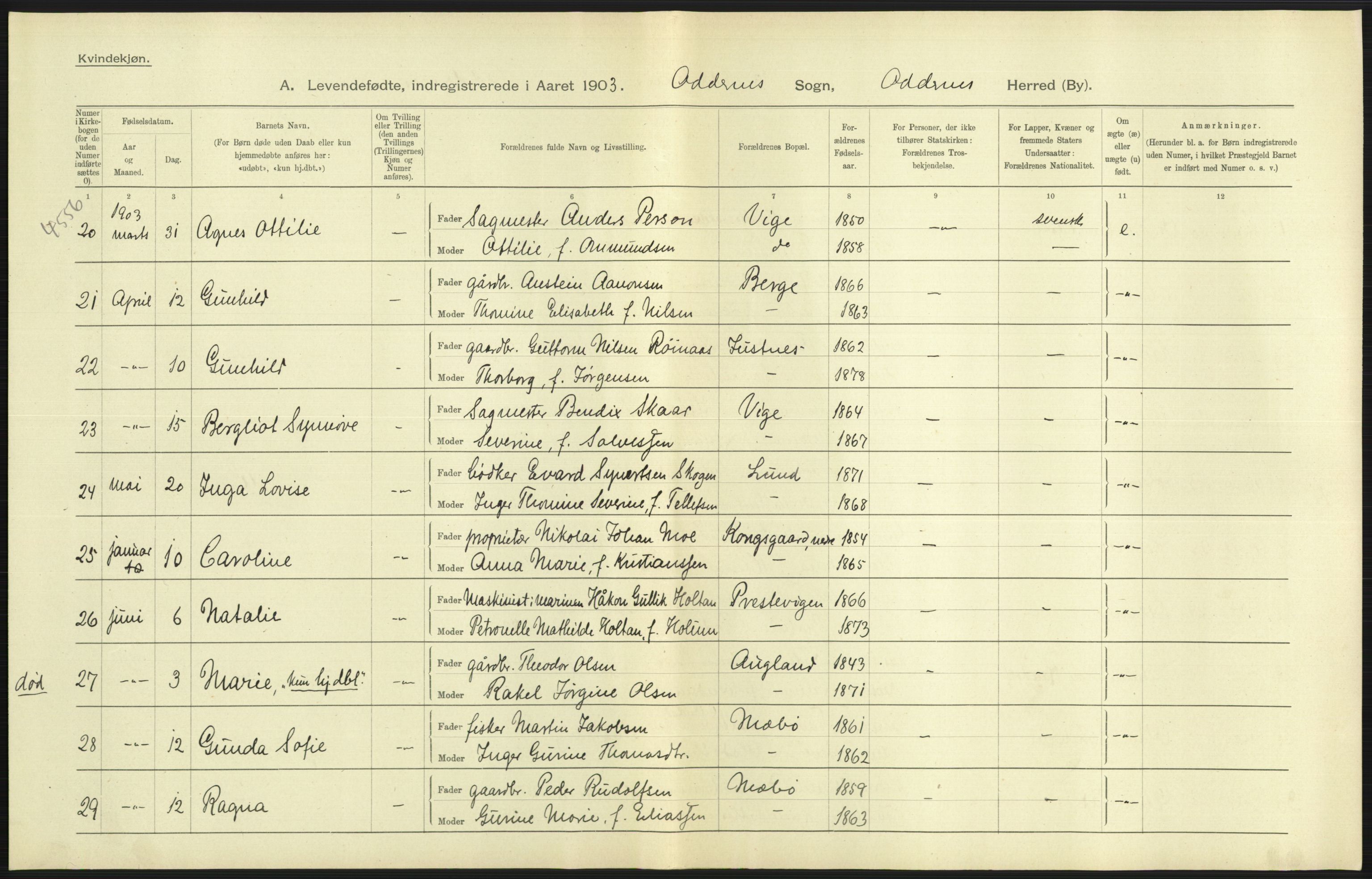 Statistisk sentralbyrå, Sosiodemografiske emner, Befolkning, AV/RA-S-2228/D/Df/Dfa/Dfaa/L0011: Lister og Mandal amt: Fødte, gifte, døde, 1903, p. 189