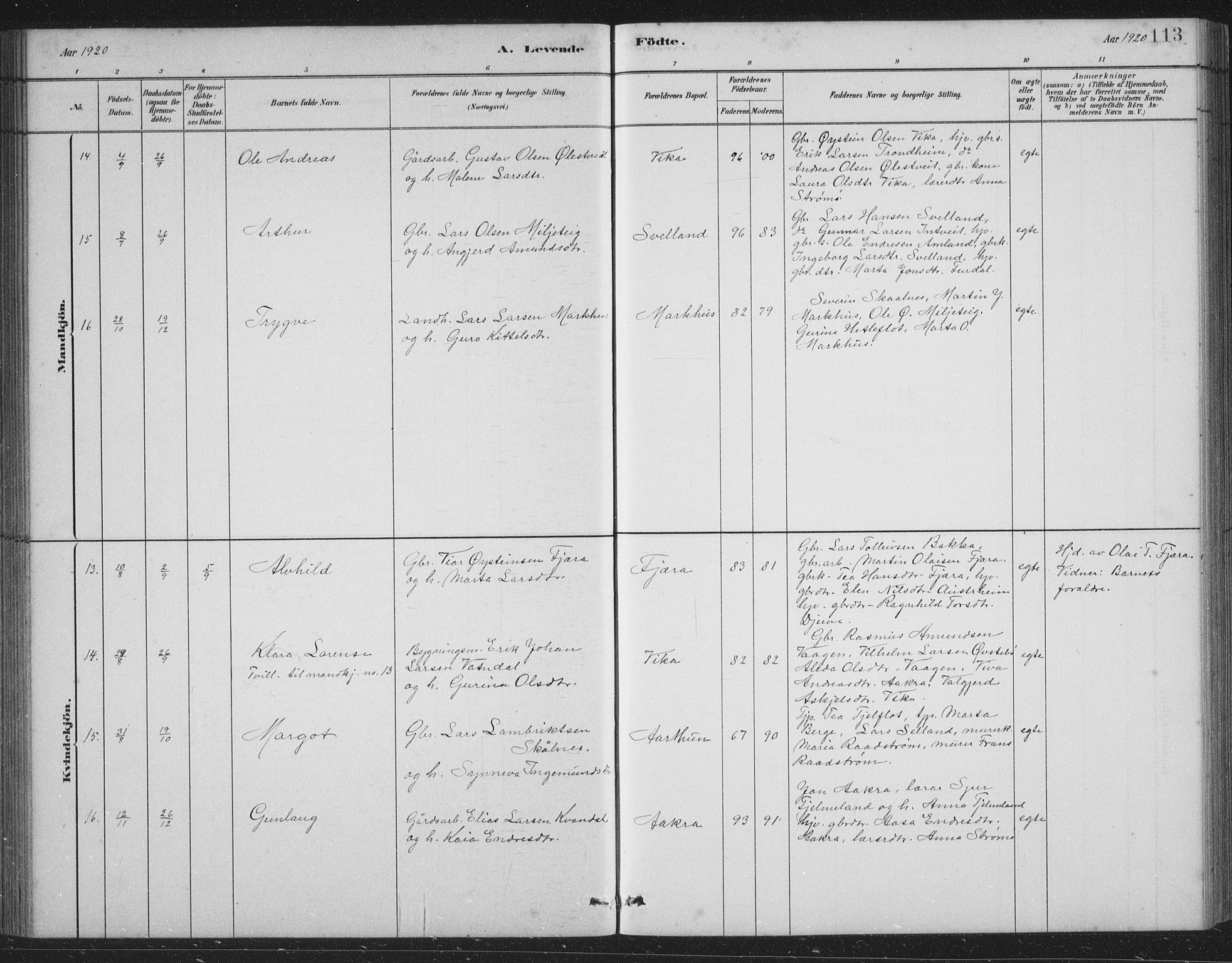 Skånevik sokneprestembete, SAB/A-77801/H/Hab: Parish register (copy) no. B 2, 1881-1920, p. 113