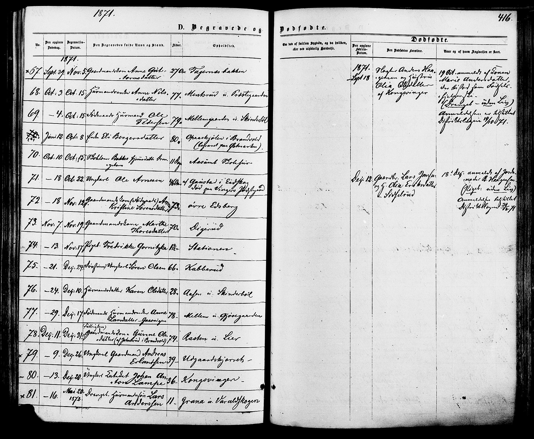 Vinger prestekontor, SAH/PREST-024/H/Ha/Haa/L0012: Parish register (official) no. 12, 1871-1880, p. 416