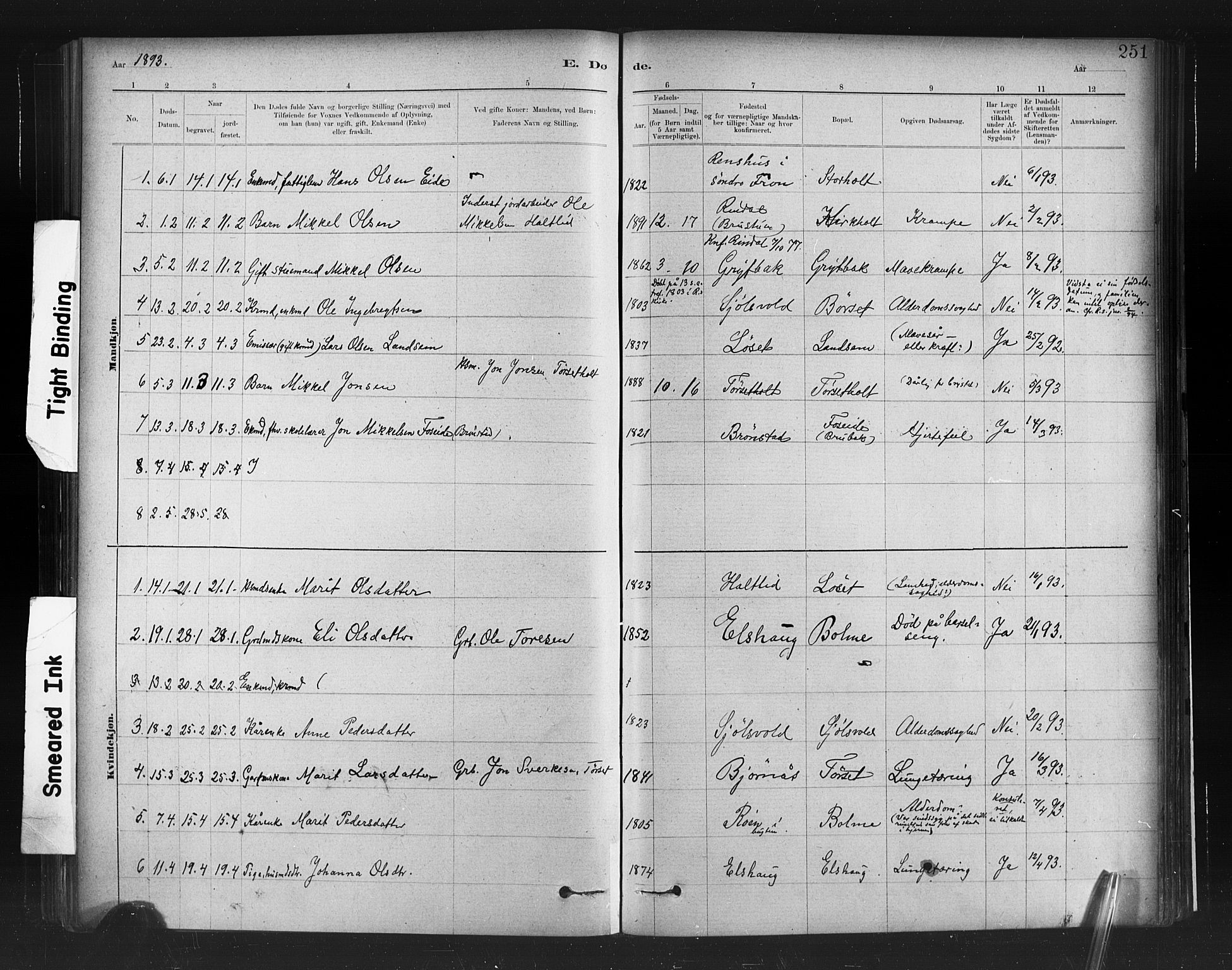 Ministerialprotokoller, klokkerbøker og fødselsregistre - Møre og Romsdal, AV/SAT-A-1454/598/L1069: Parish register (official) no. 598A03, 1882-1895, p. 251