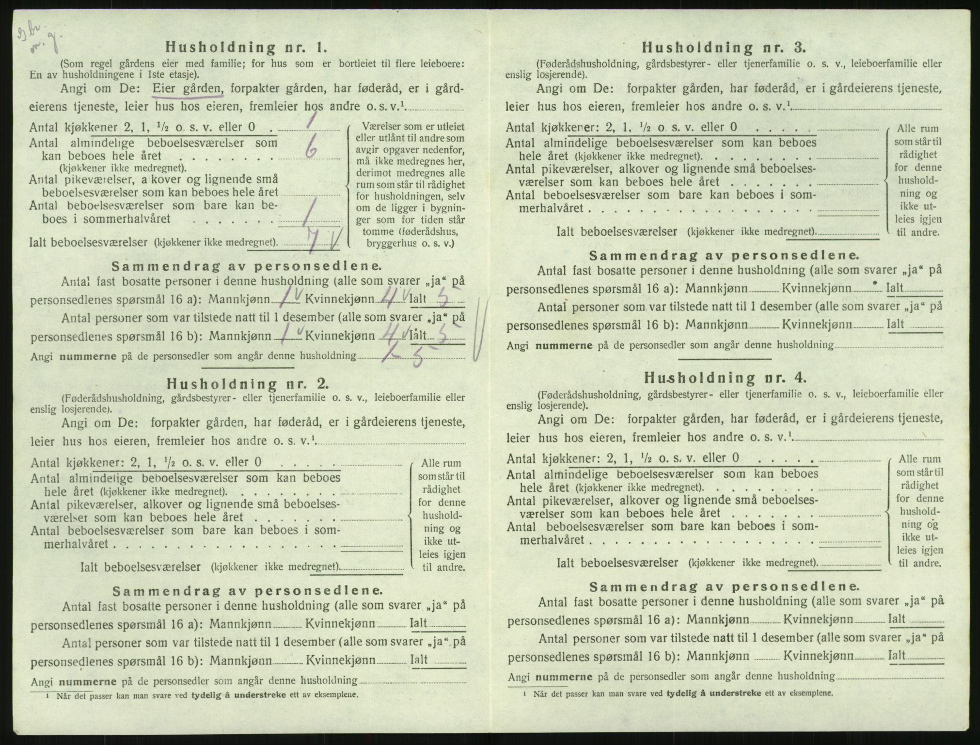 SAK, 1920 census for Hornnes, 1920, p. 166