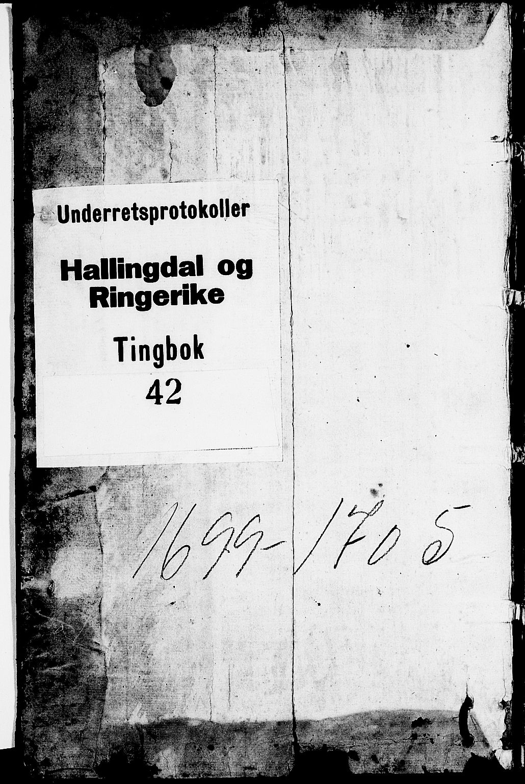 Ringerike og Hallingdal sorenskriveri, SAKO/A-81/F/Fa/Faa/L0024: Tingbok, 1699-1705