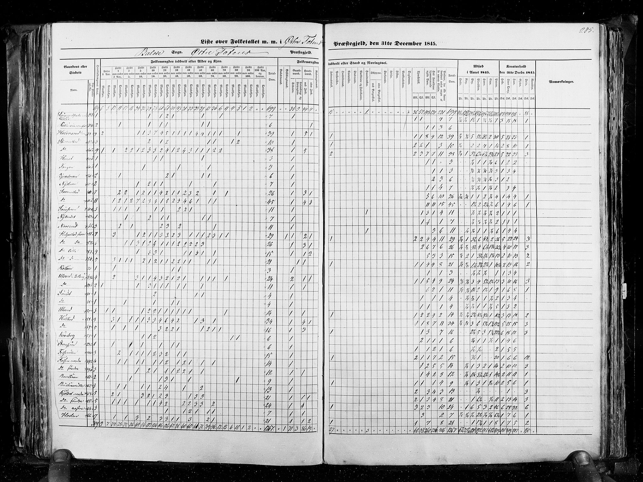 RA, Census 1845, vol. 3: Hedemarken amt og Kristians amt, 1845, p. 285