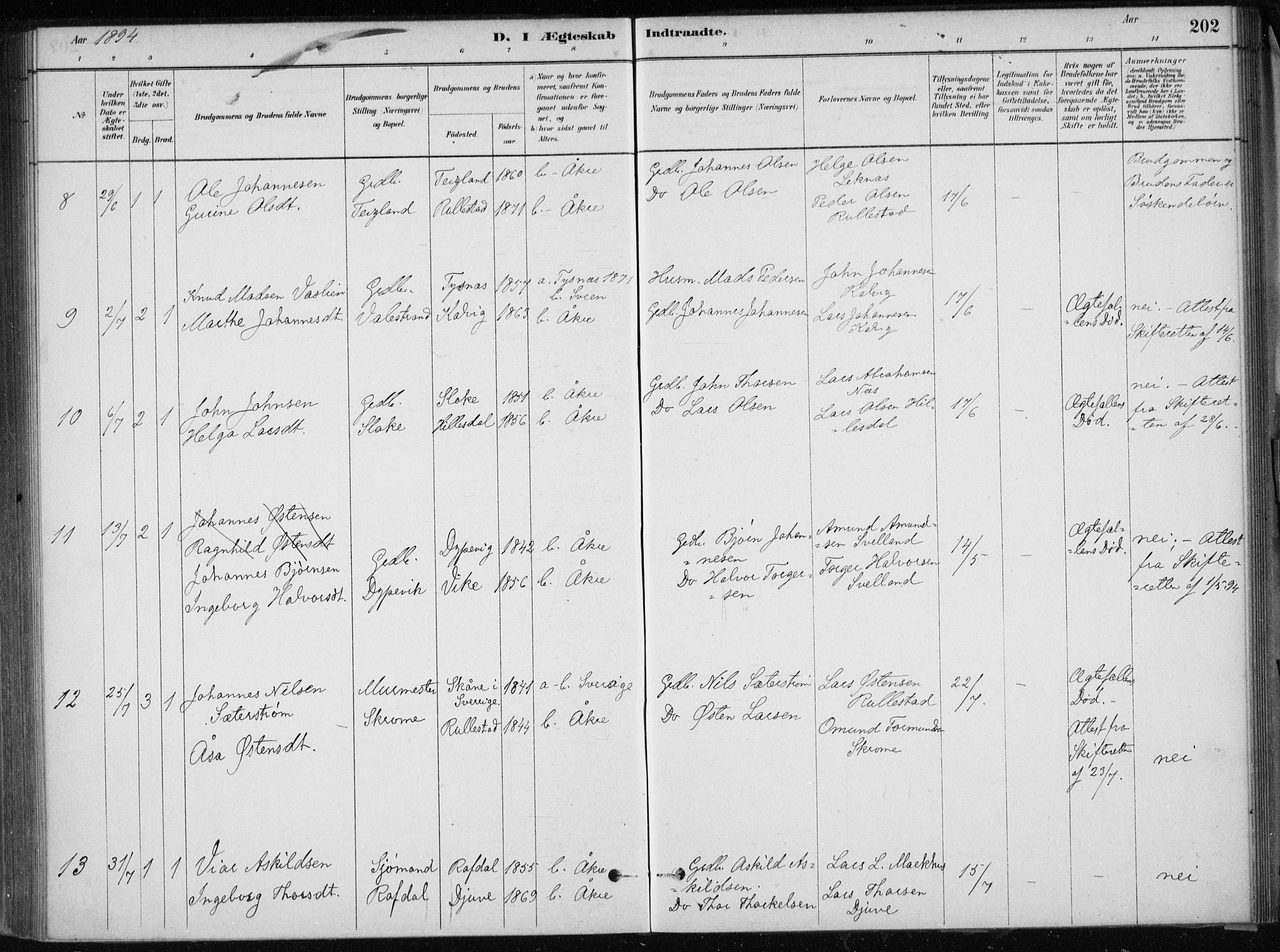 Skånevik sokneprestembete, AV/SAB-A-77801/H/Haa: Parish register (official) no. E  1, 1879-1901, p. 202