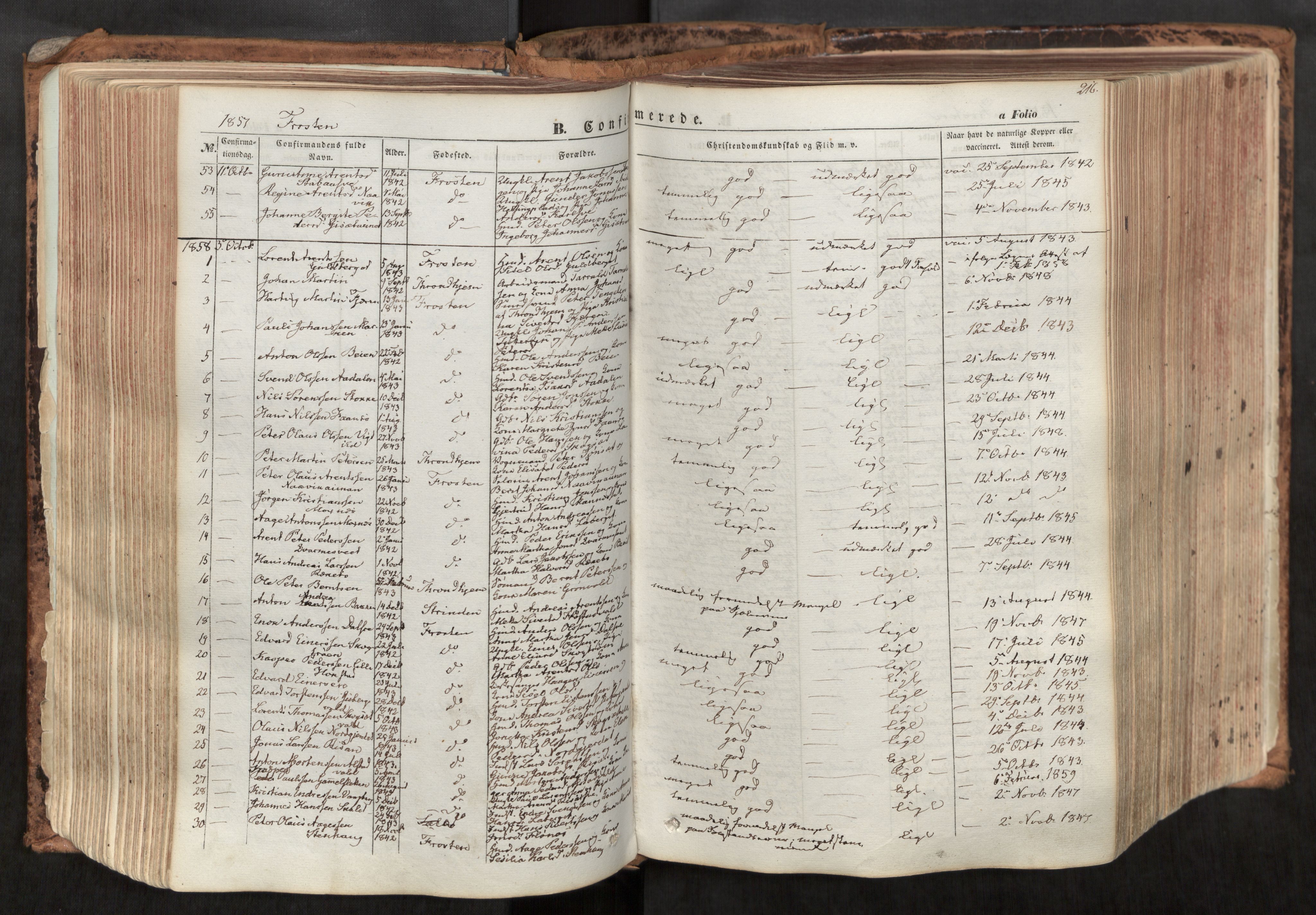 Ministerialprotokoller, klokkerbøker og fødselsregistre - Nord-Trøndelag, SAT/A-1458/713/L0116: Parish register (official) no. 713A07, 1850-1877, p. 216