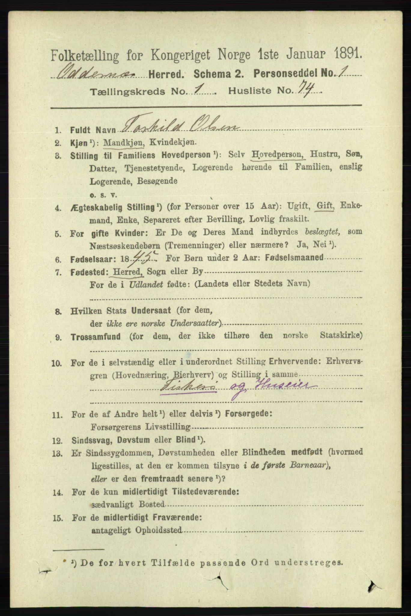 RA, 1891 census for 1012 Oddernes, 1891, p. 517