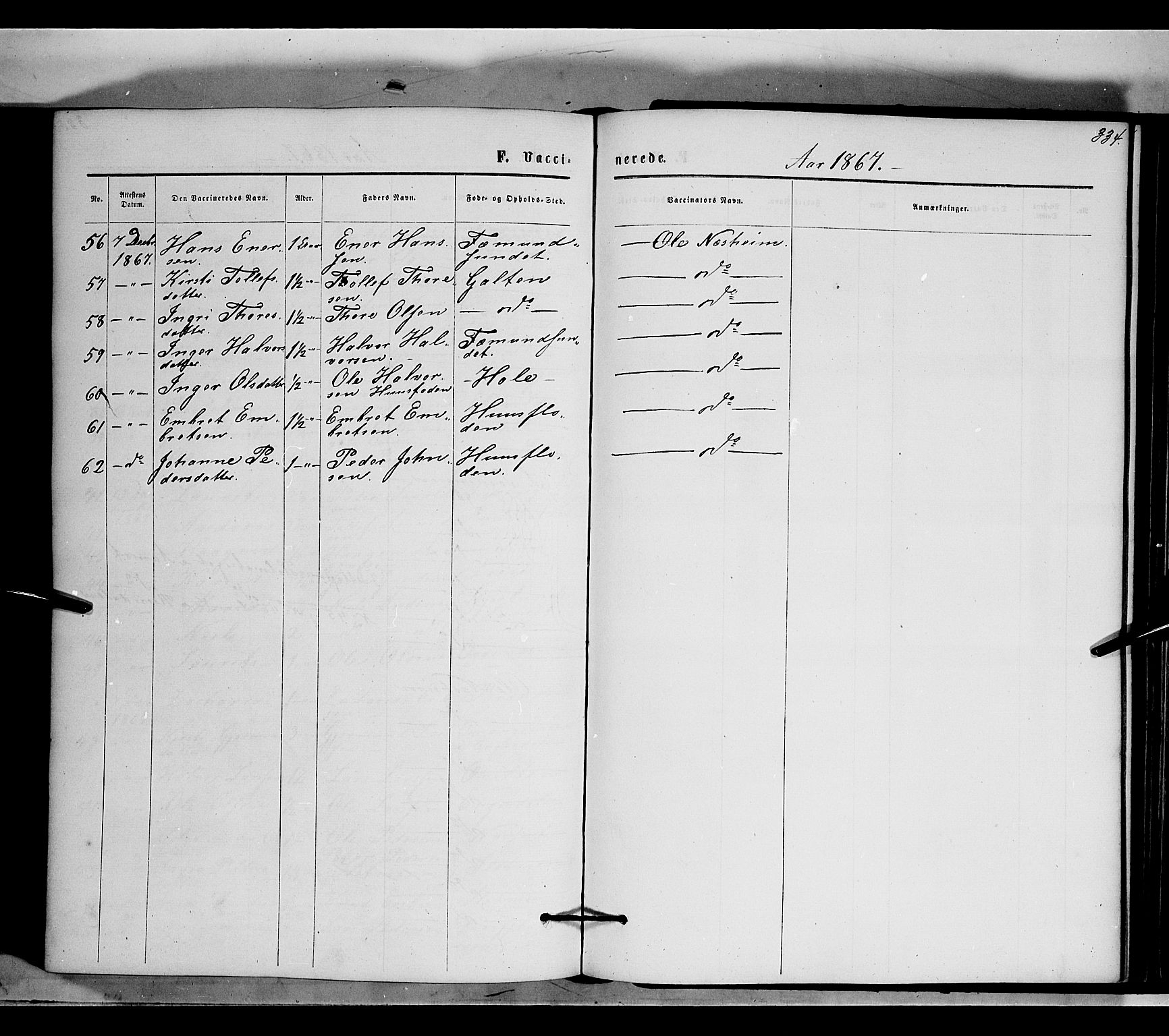 Rendalen prestekontor, AV/SAH-PREST-054/H/Ha/Haa/L0006: Parish register (official) no. 6, 1867-1877, p. 334