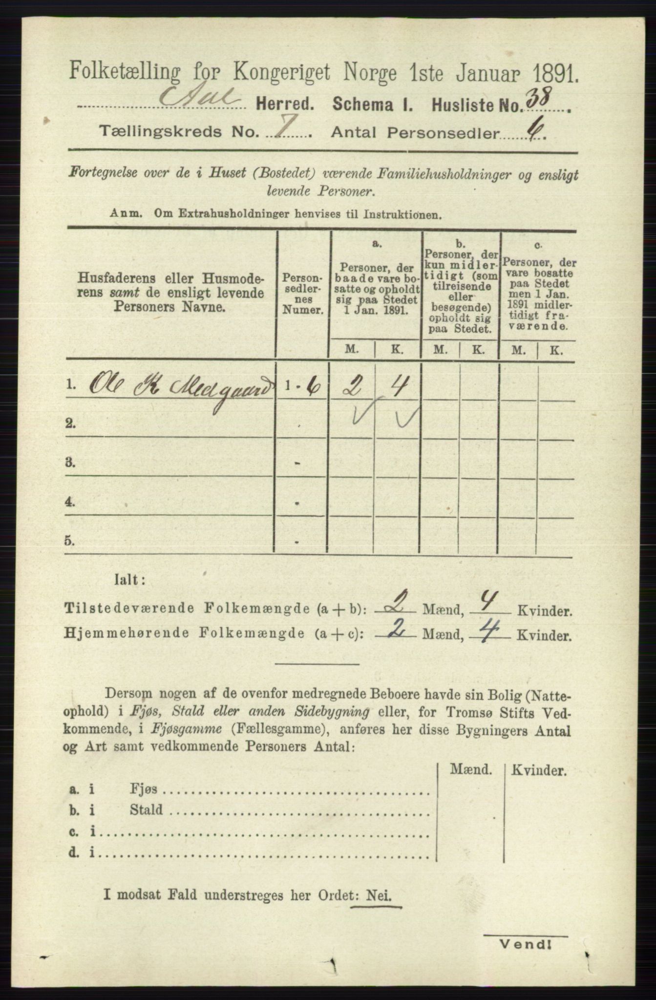 RA, 1891 census for 0619 Ål, 1891, p. 1819