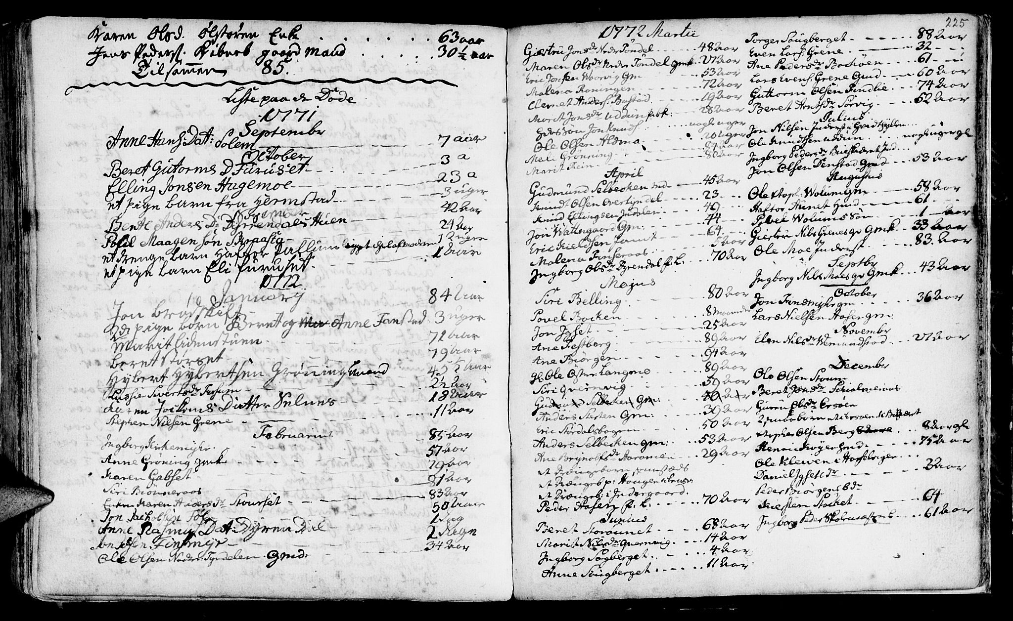 Ministerialprotokoller, klokkerbøker og fødselsregistre - Sør-Trøndelag, SAT/A-1456/646/L0604: Parish register (official) no. 646A02, 1735-1750, p. 224-225