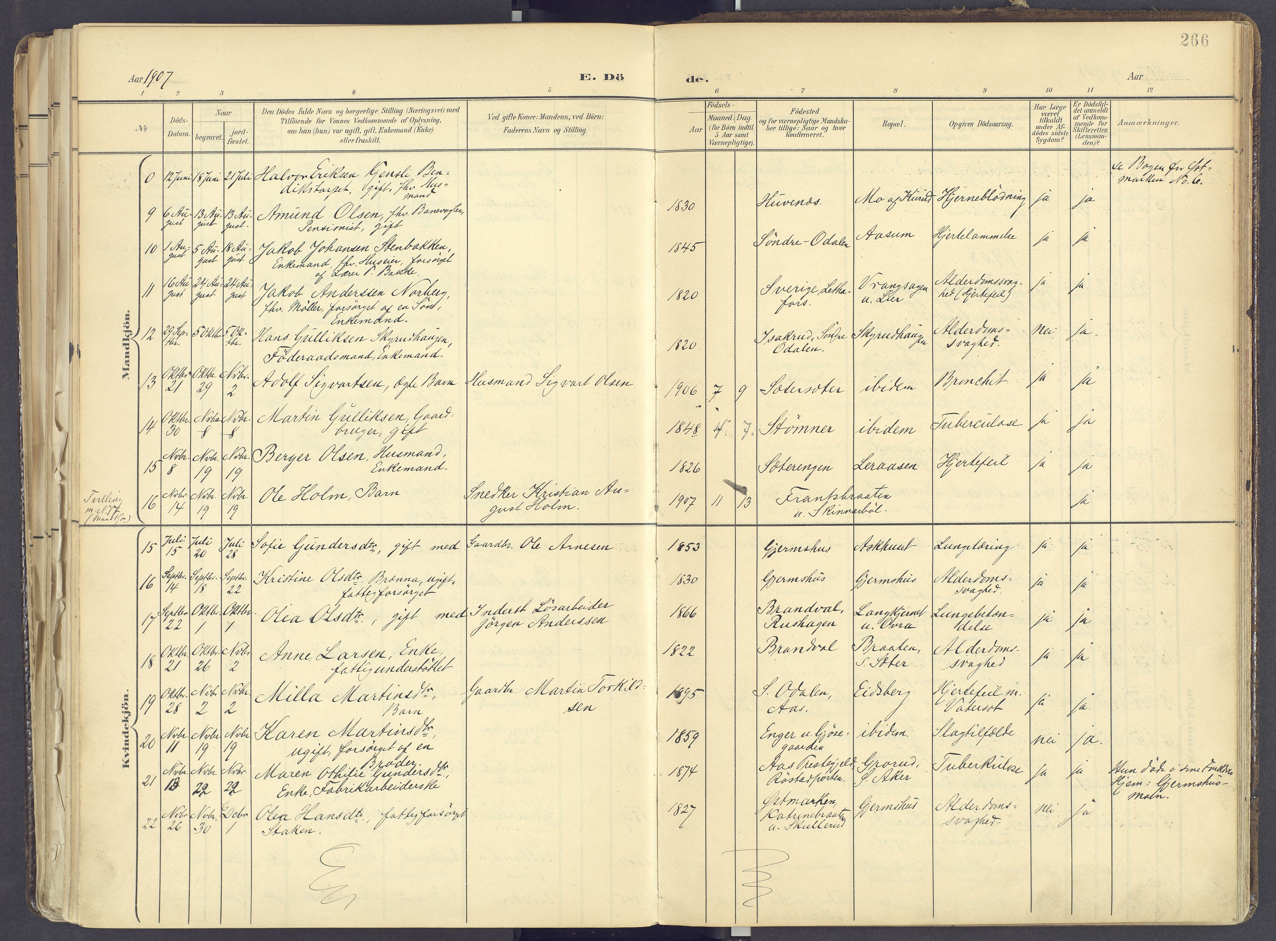 Vinger prestekontor, AV/SAH-PREST-024/H/Ha/Haa/L0017: Parish register (official) no. 17, 1901-1927, p. 266