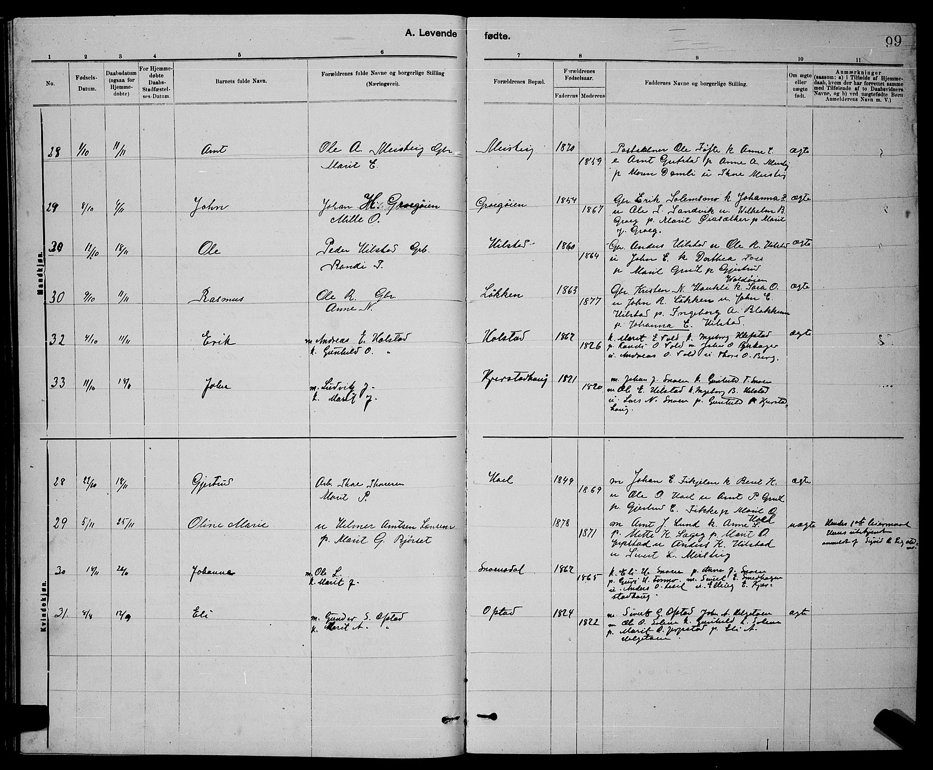 Ministerialprotokoller, klokkerbøker og fødselsregistre - Sør-Trøndelag, AV/SAT-A-1456/672/L0863: Parish register (copy) no. 672C02, 1888-1901, p. 99