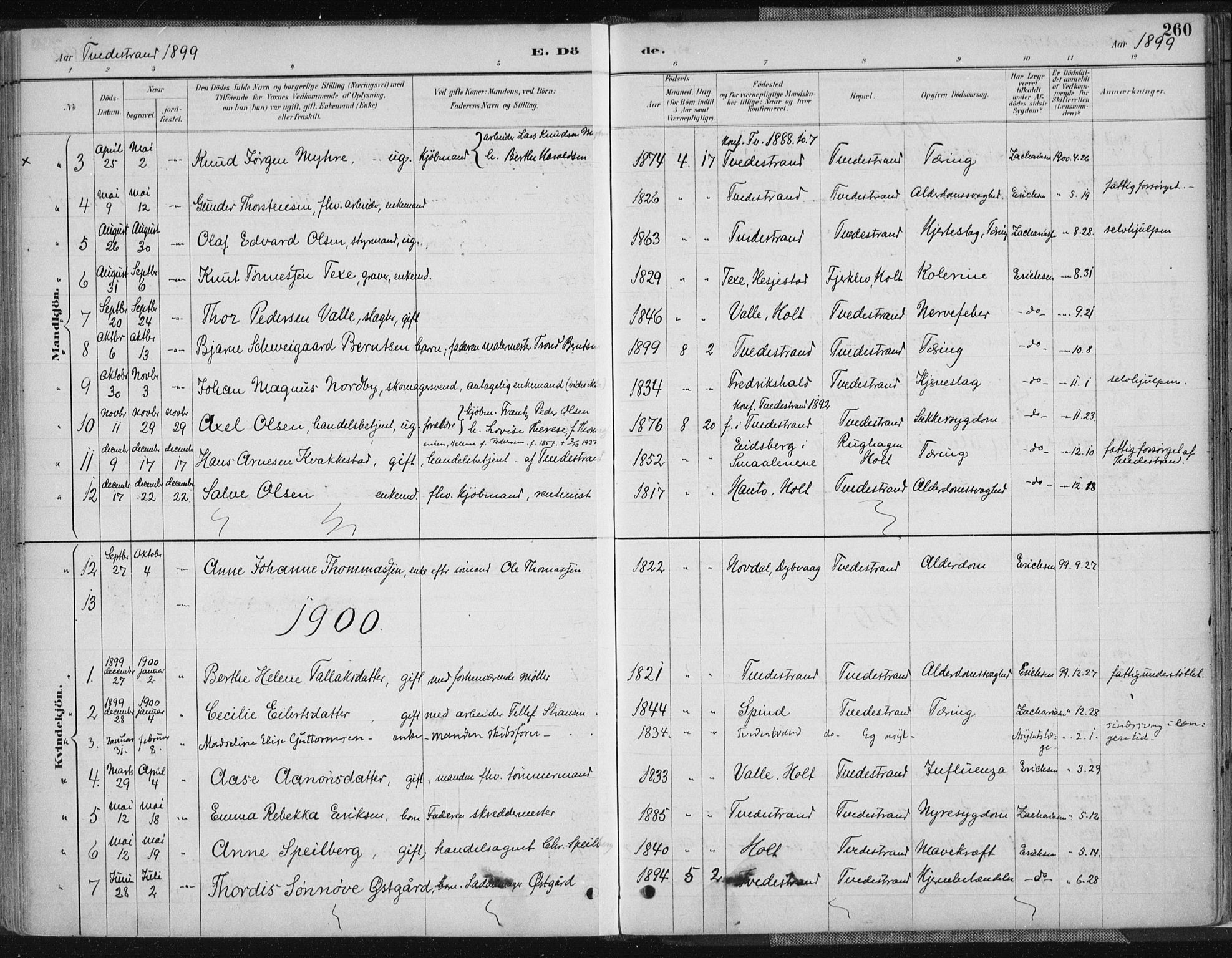Tvedestrand sokneprestkontor, SAK/1111-0042/F/Fa/L0001: Parish register (official) no. A 1, 1885-1916, p. 260