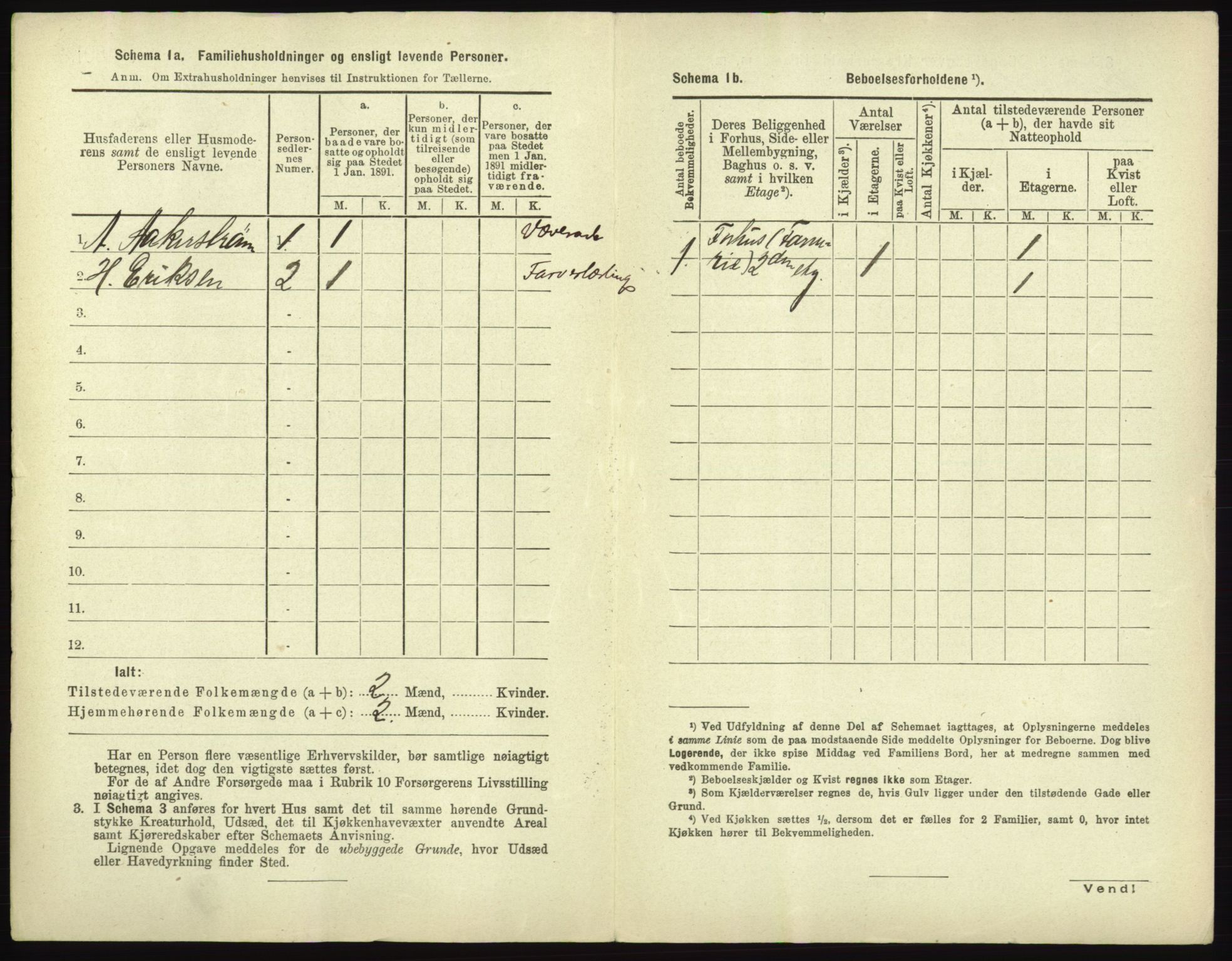 RA, 1891 census for 0101 Fredrikshald, 1891, p. 199