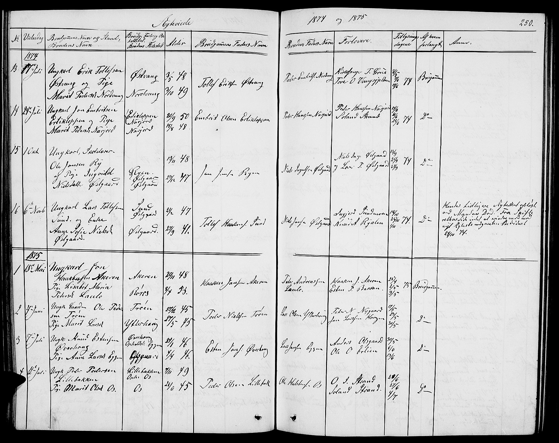 Tolga prestekontor, AV/SAH-PREST-062/L/L0004: Parish register (copy) no. 4, 1845-1887, p. 250