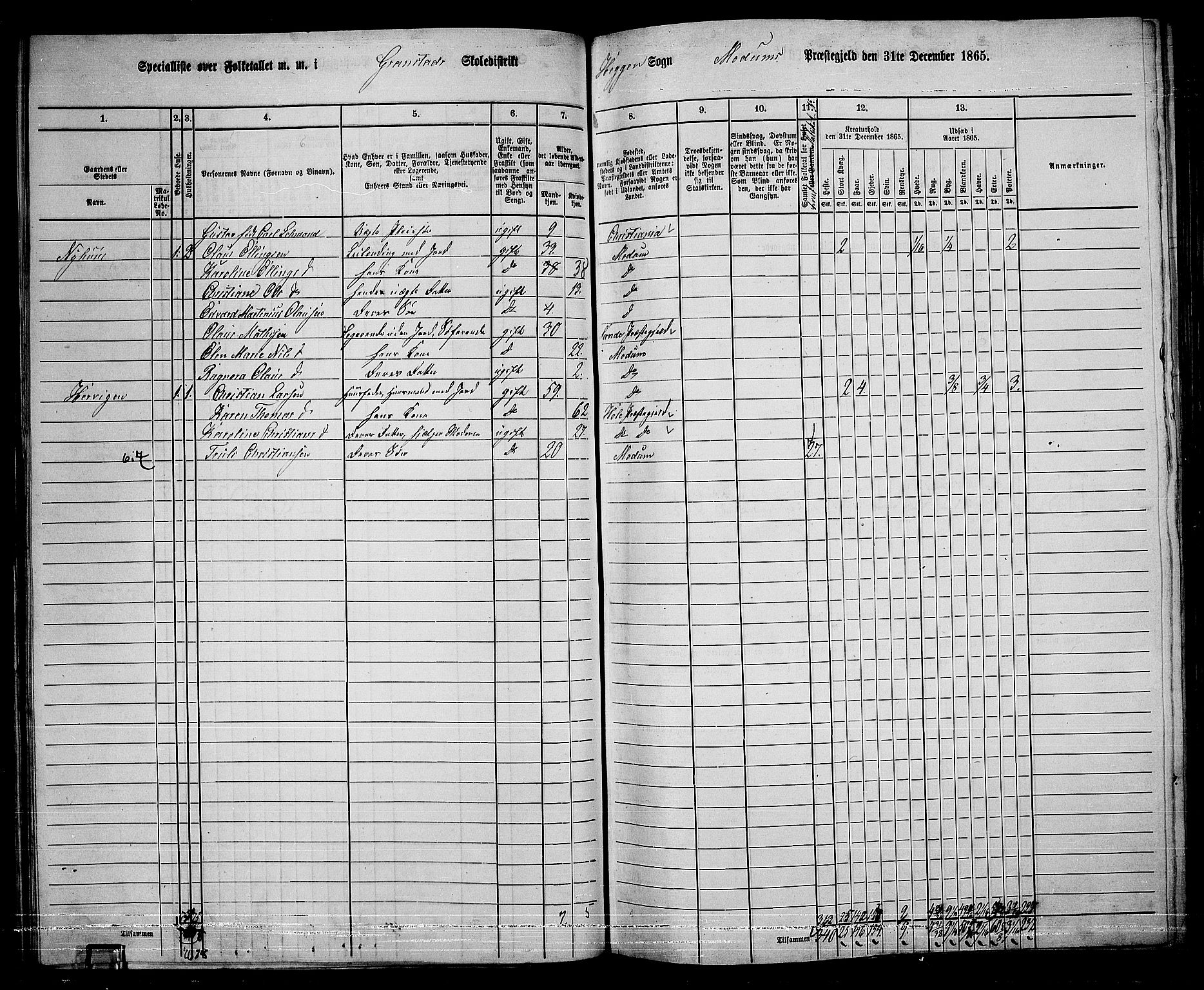 RA, 1865 census for Modum, 1865, p. 64