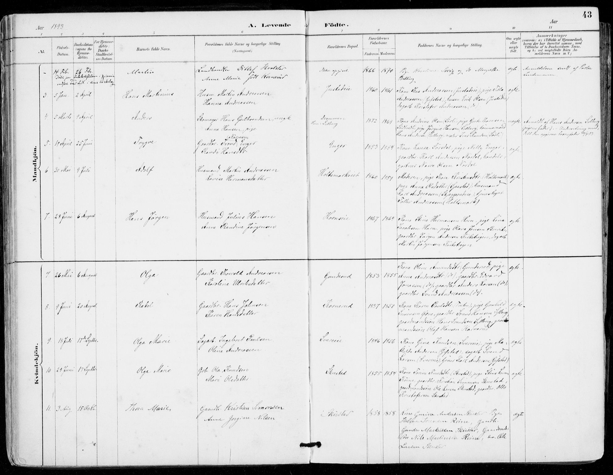 Sylling kirkebøker, AV/SAKO-A-247/F/Fa/L0001: Parish register (official) no. 1, 1883-1910, p. 43