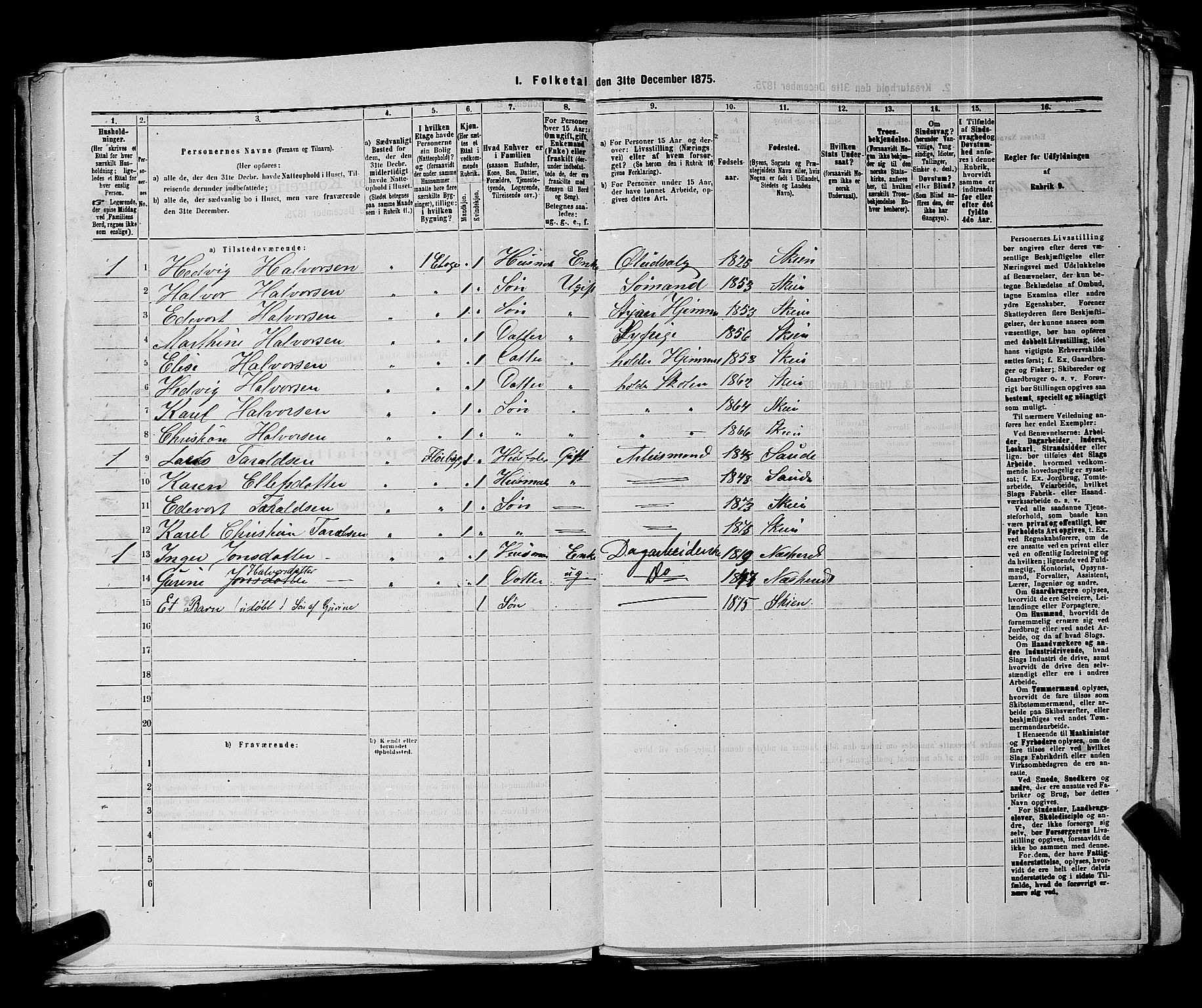 SAKO, 1875 census for 0806P Skien, 1875, p. 1052