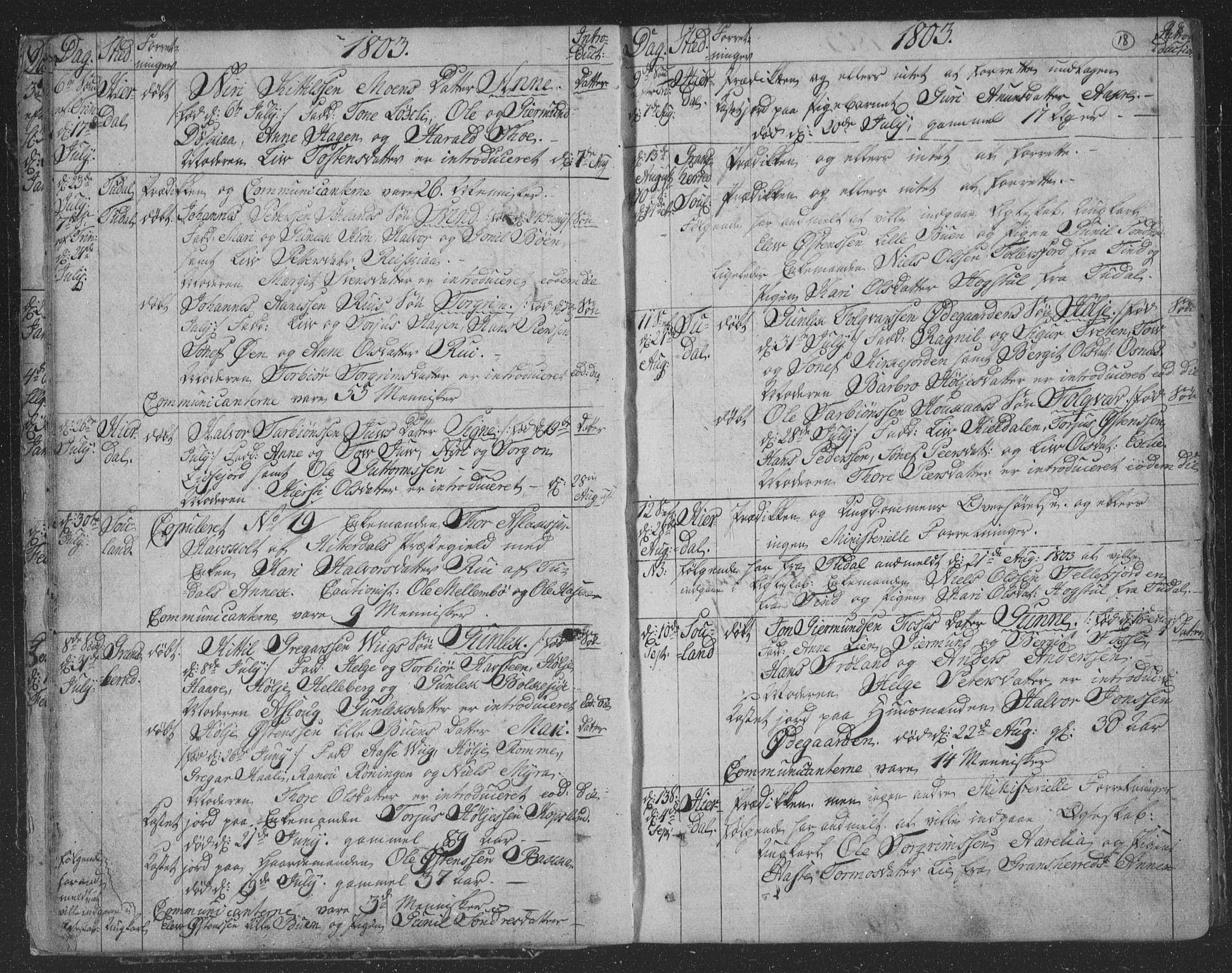 Hjartdal kirkebøker, SAKO/A-270/F/Fa/L0006: Parish register (official) no. I 6, 1801-1814, p. 18