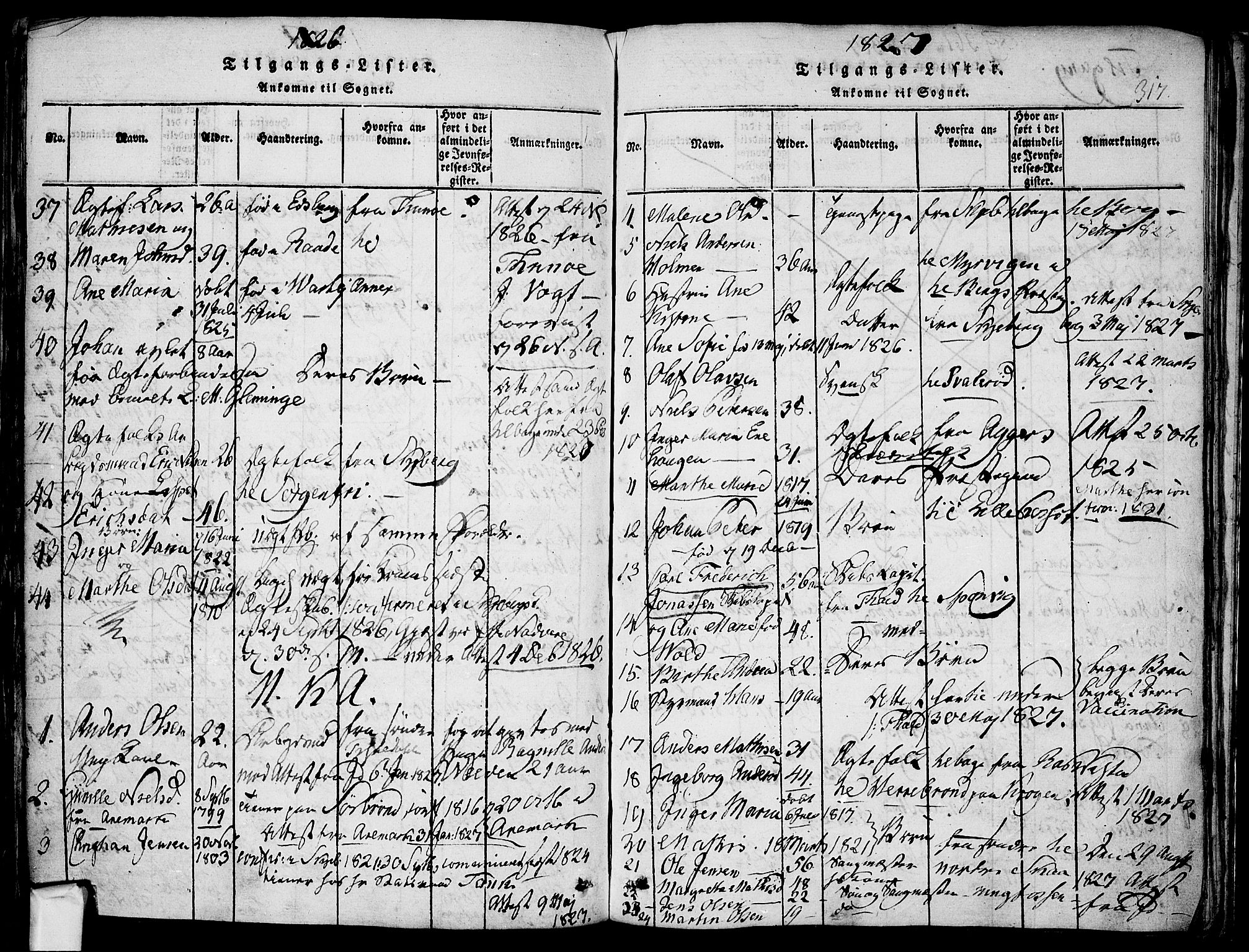 Berg prestekontor Kirkebøker, SAO/A-10902/F/Fa/L0002: Parish register (official) no. I 2, 1815-1831, p. 317