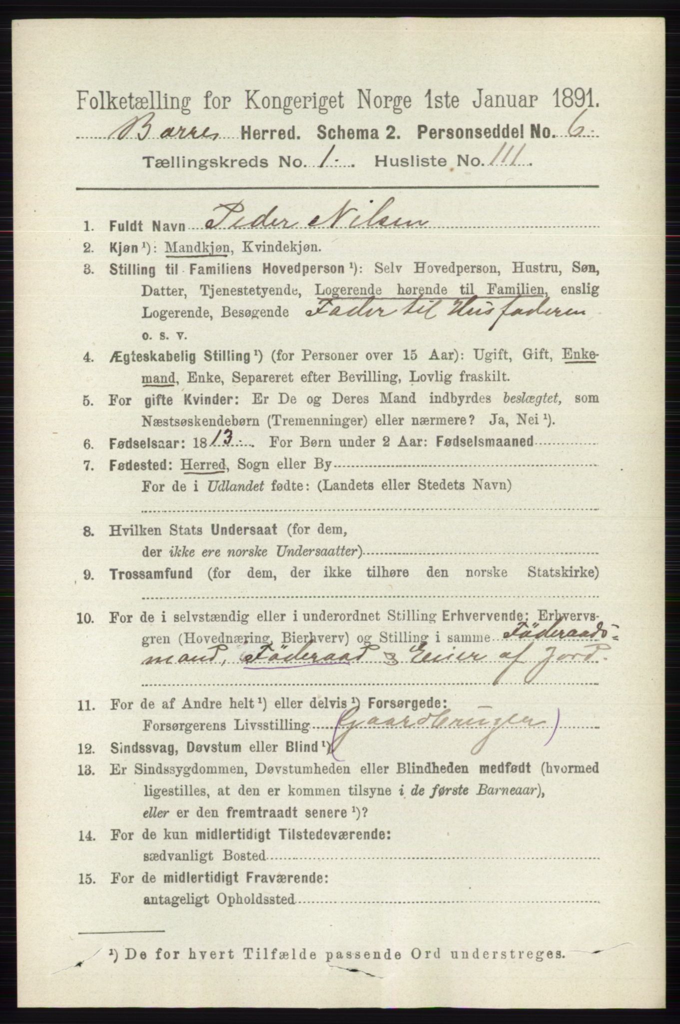 RA, 1891 census for 0717 Borre, 1891, p. 736