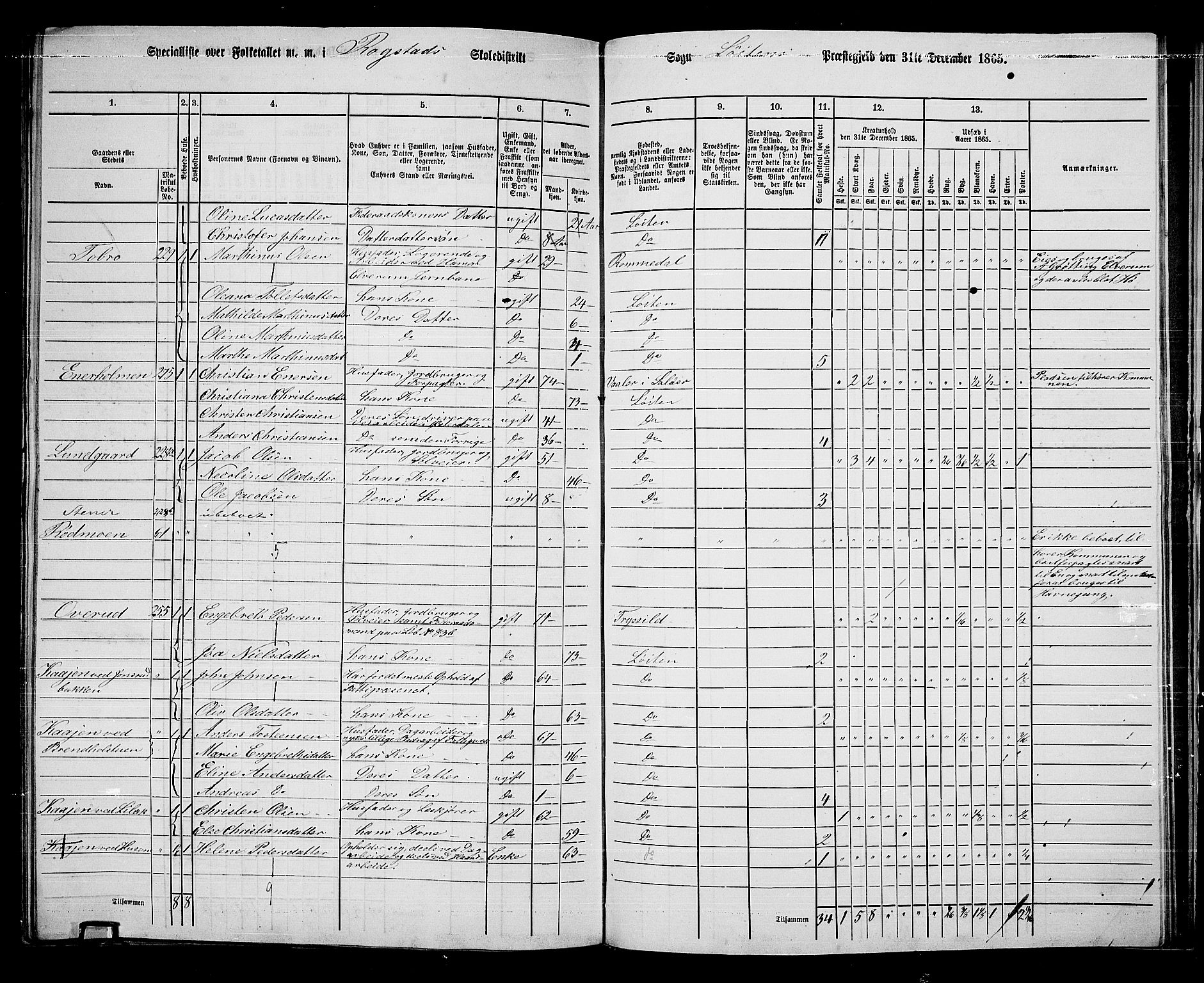 RA, 1865 census for Løten, 1865, p. 167