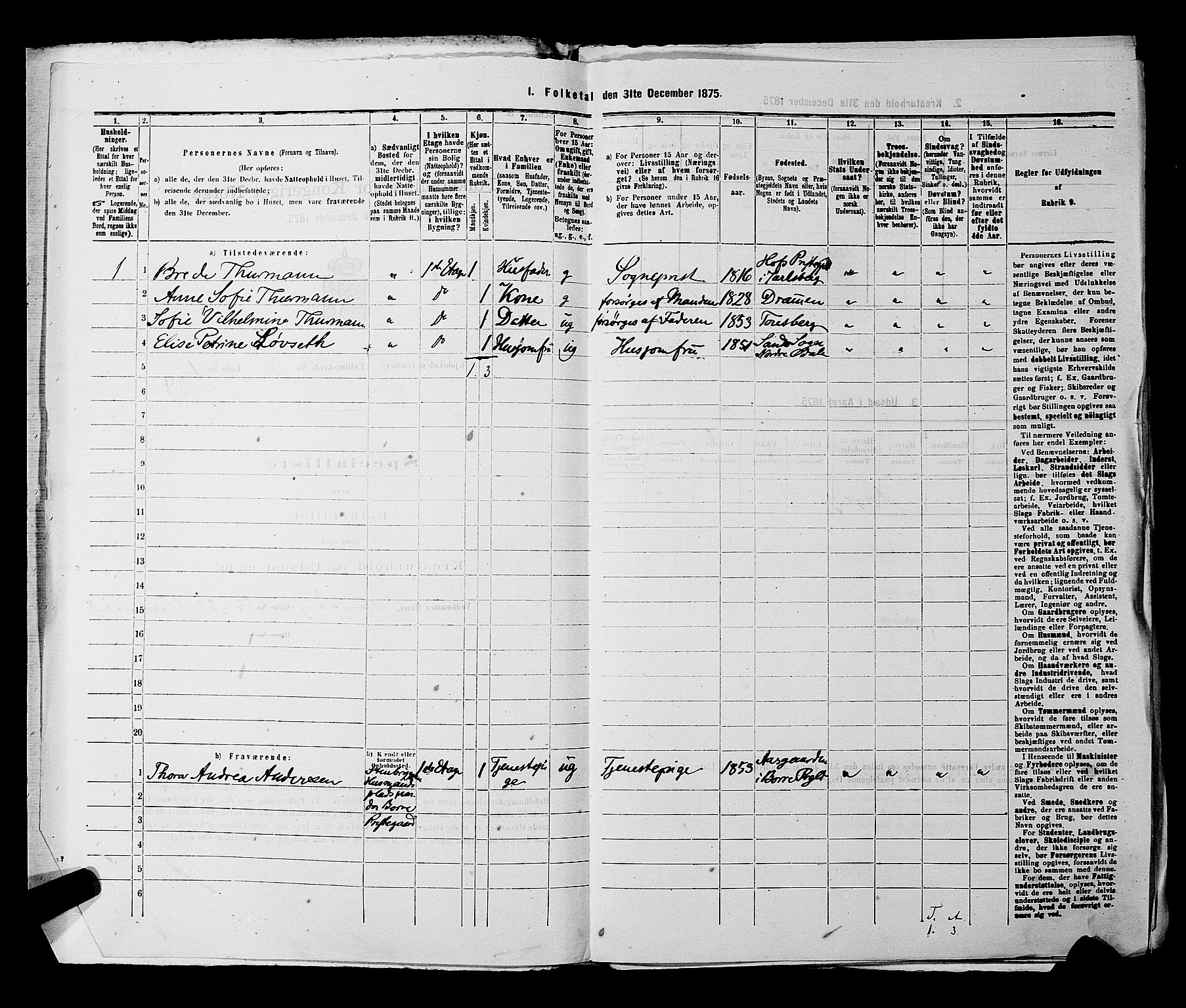 SAKO, 1875 census for 0705P Tønsberg, 1875, p. 223