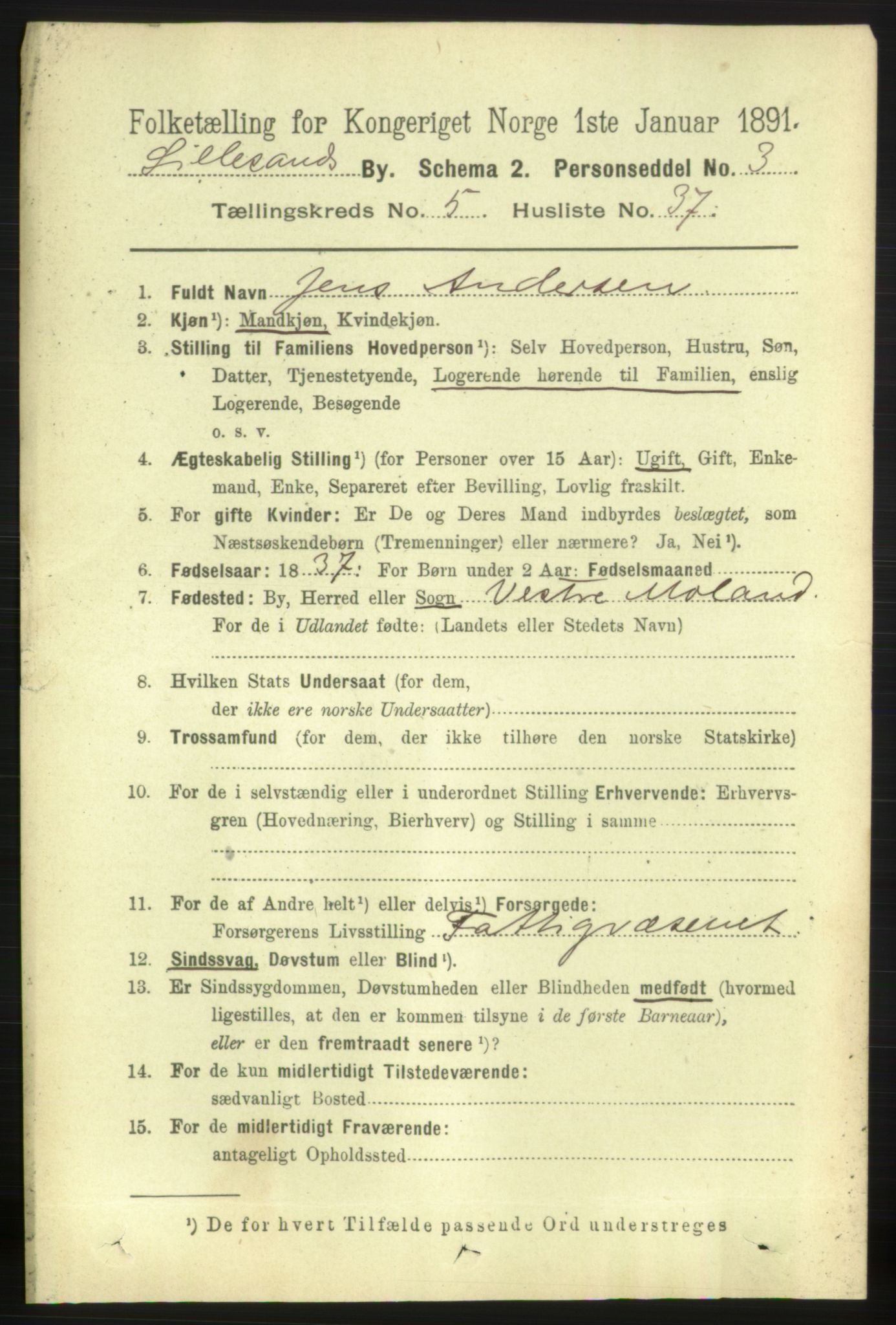 RA, 1891 census for 0905 Lillesand, 1891, p. 1612