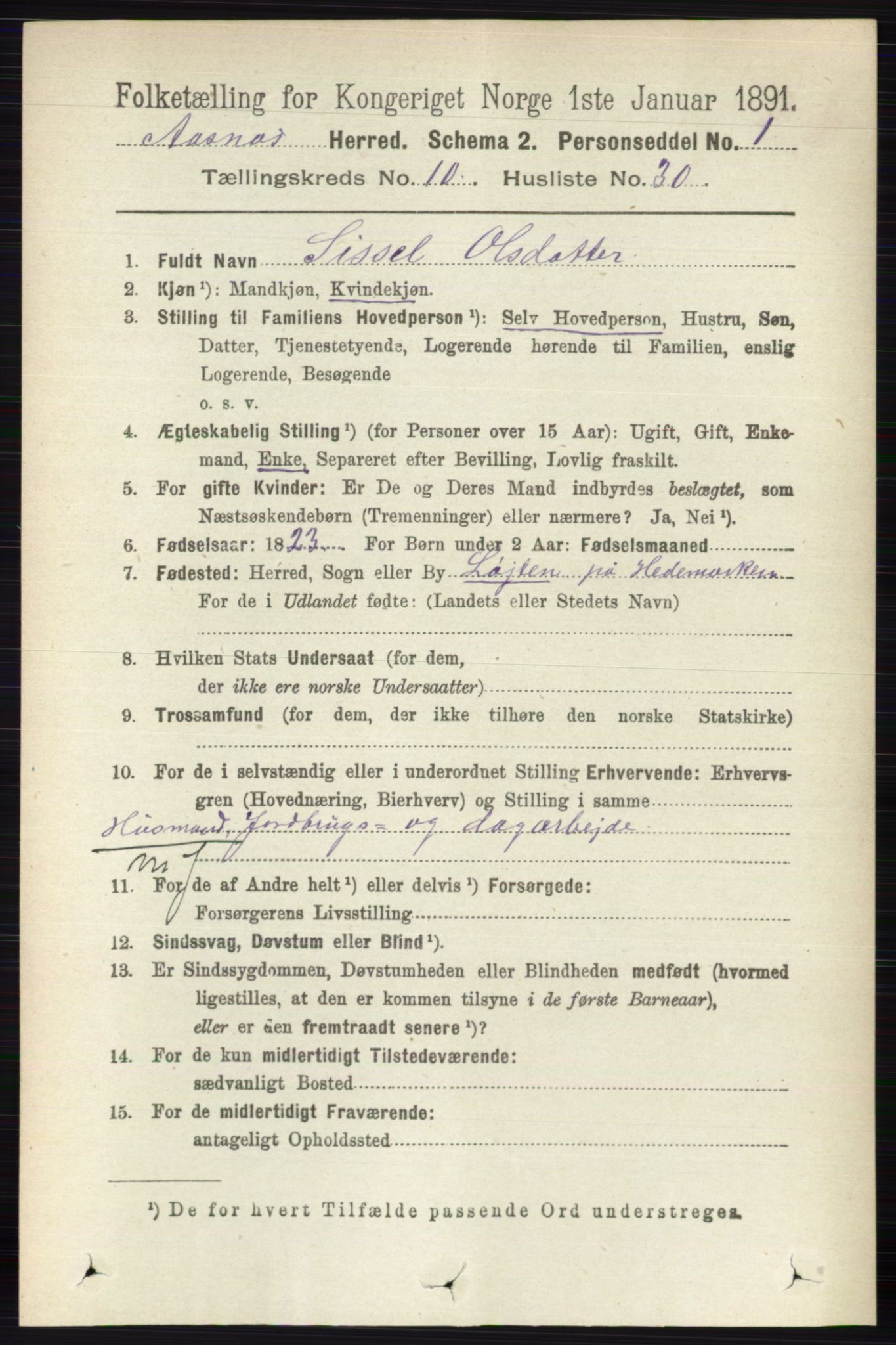 RA, 1891 census for 0425 Åsnes, 1891, p. 5213