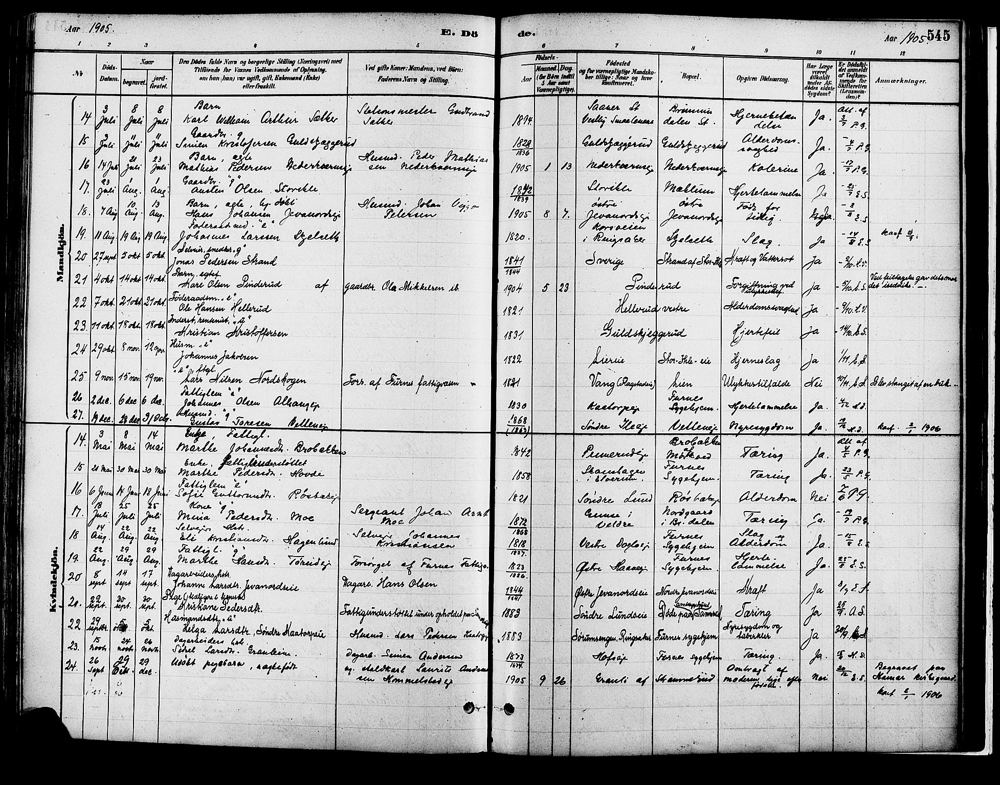 Vang prestekontor, Hedmark, AV/SAH-PREST-008/H/Ha/Haa/L0018B: Parish register (official) no. 18B, 1880-1906, p. 545