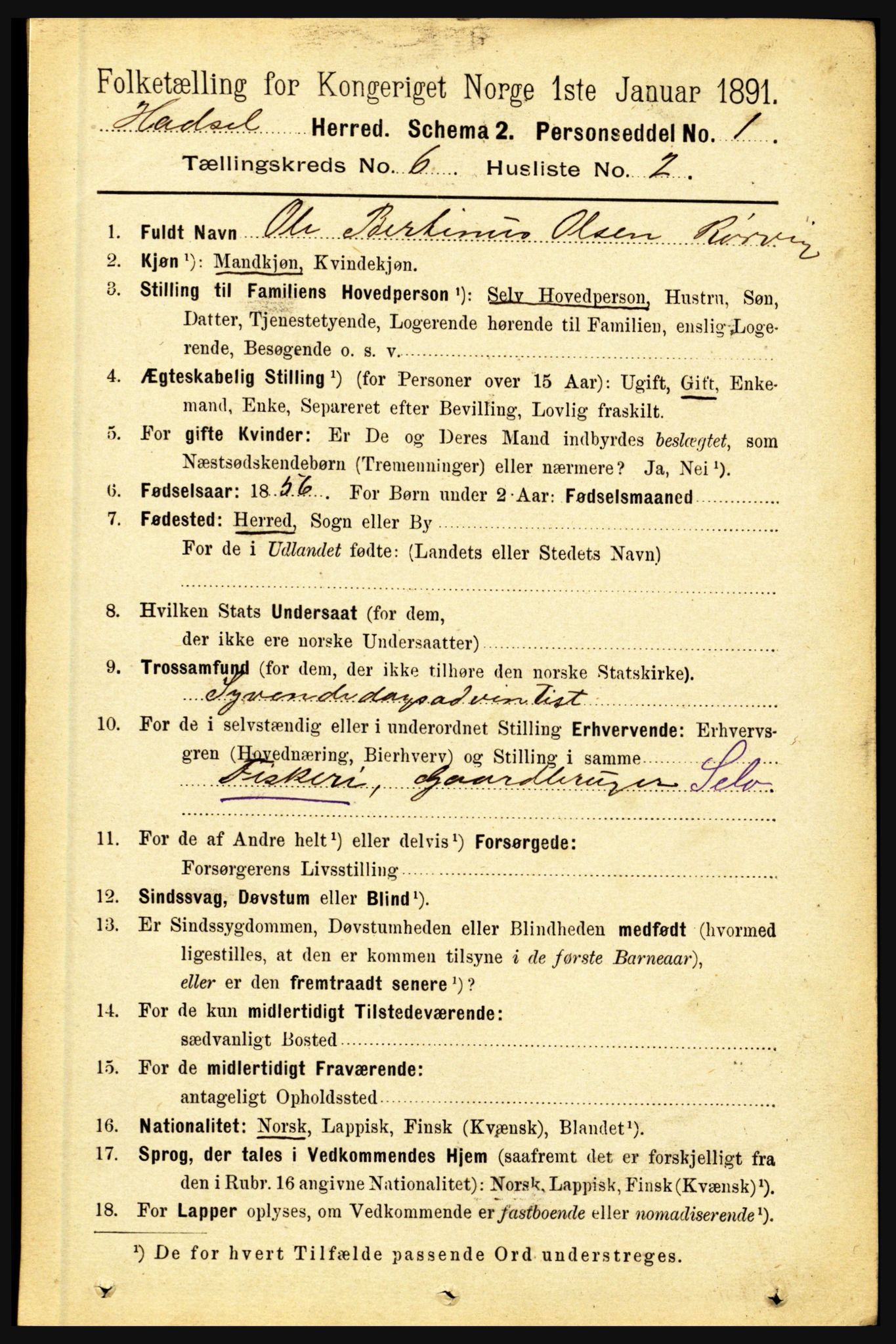 RA, 1891 census for 1866 Hadsel, 1891, p. 2643