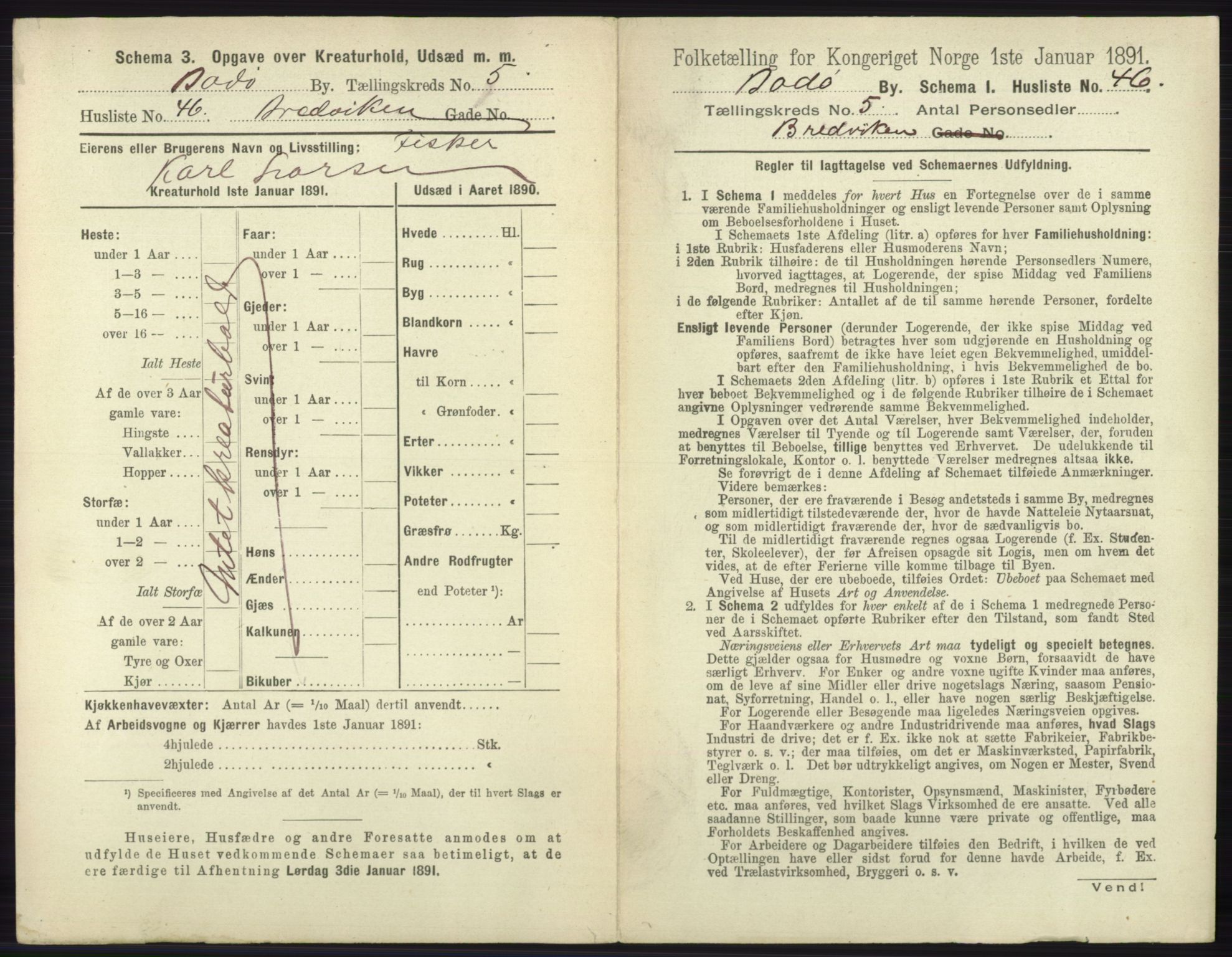 RA, 1891 census for 1804 Bodø, 1891, p. 3897