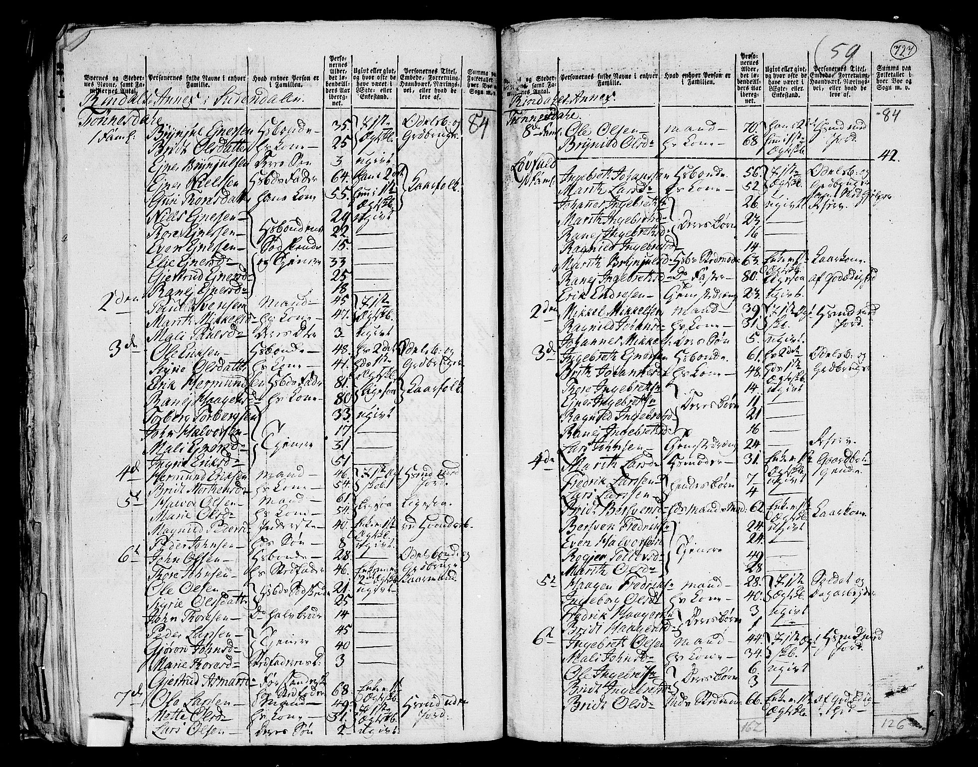 RA, 1801 census for 1566P Surnadal, 1801, p. 726b-727a