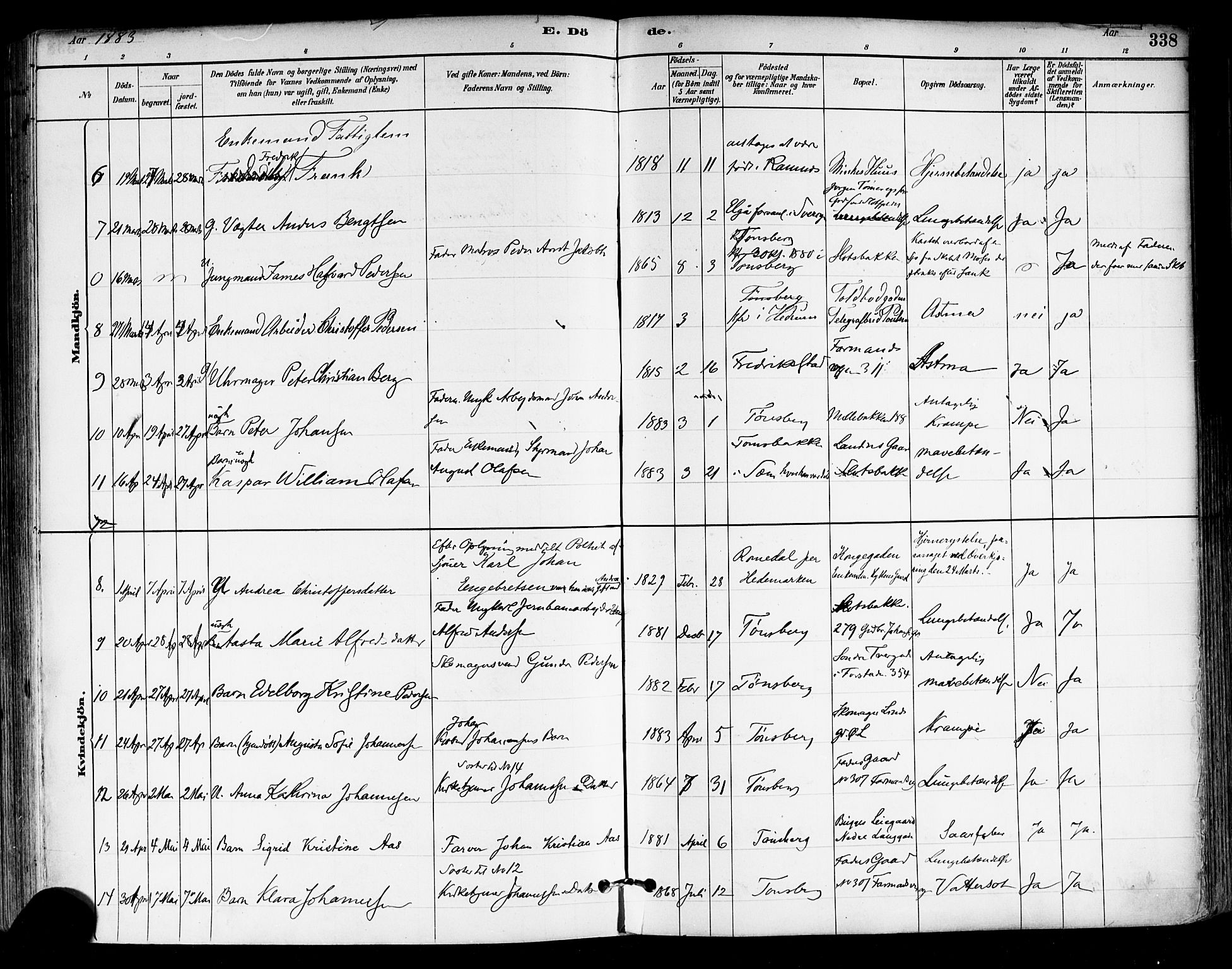 Tønsberg kirkebøker, AV/SAKO-A-330/F/Fa/L0011: Parish register (official) no. I 11, 1881-1890, p. 338