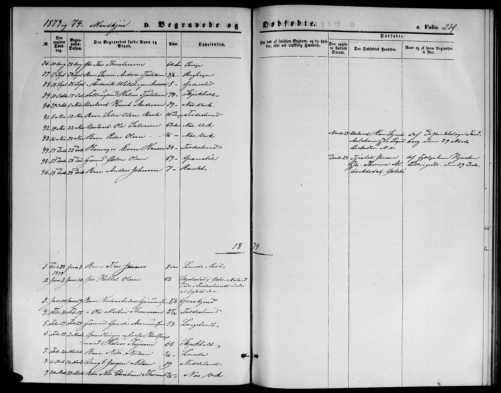 Holt sokneprestkontor, AV/SAK-1111-0021/F/Fb/L0009: Parish register (copy) no. B 9, 1871-1883, p. 239