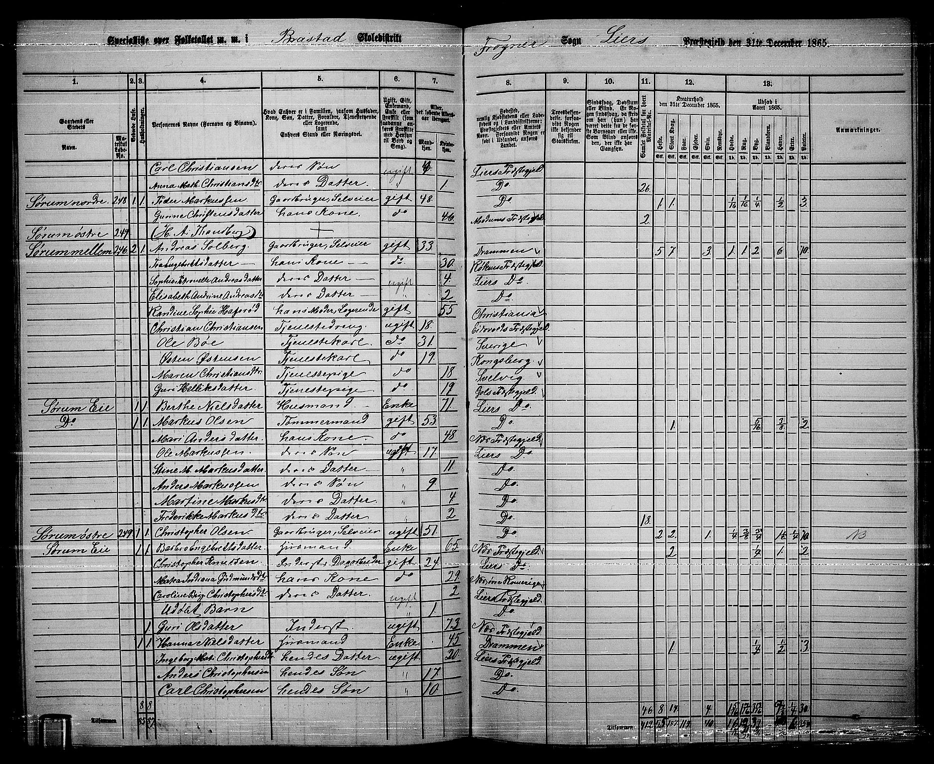 RA, 1865 census for Lier, 1865, p. 140