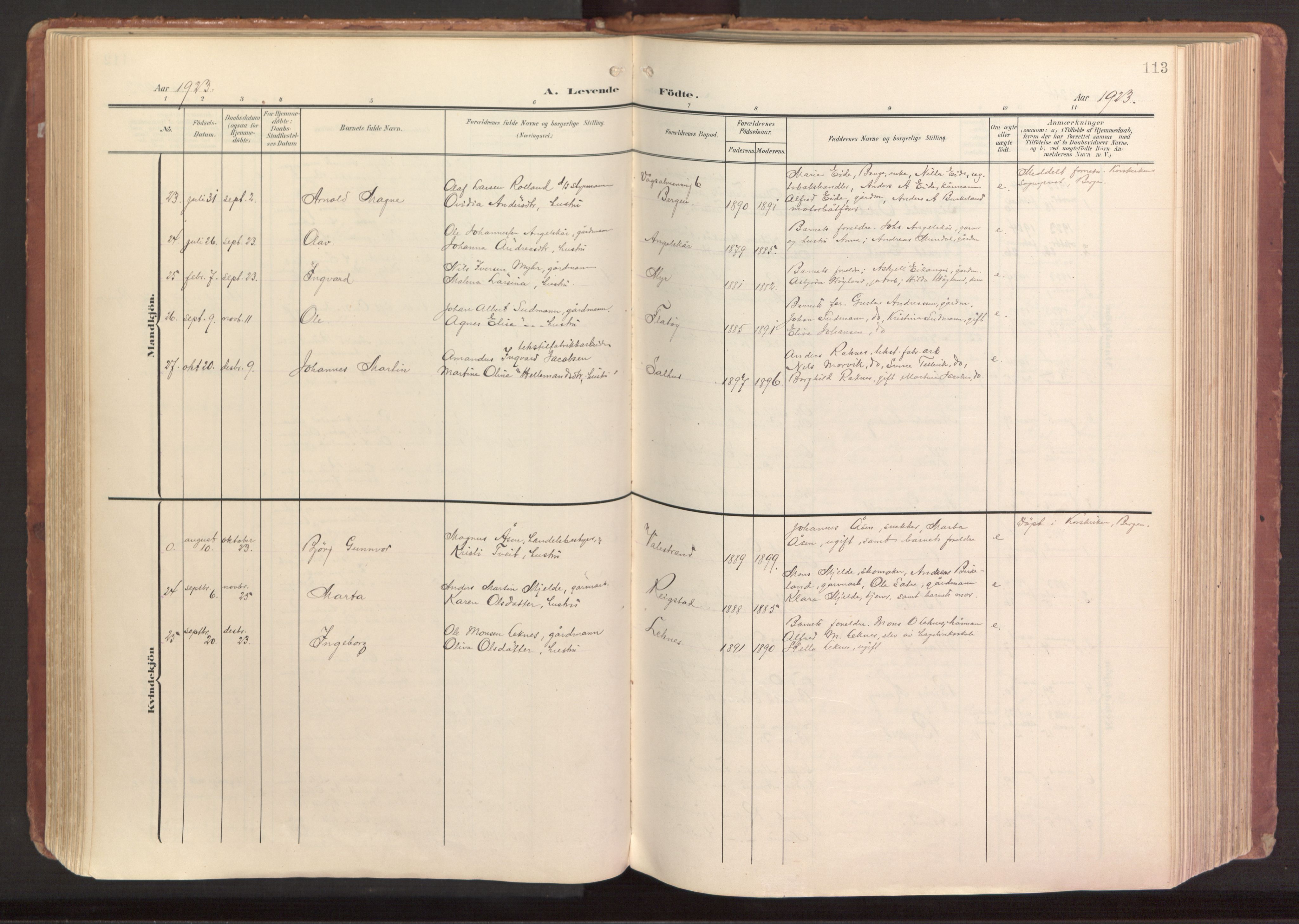 Hamre sokneprestembete, AV/SAB-A-75501/H/Ha/Haa/Haab/L0002: Parish register (official) no. B 2, 1905-1924, p. 113