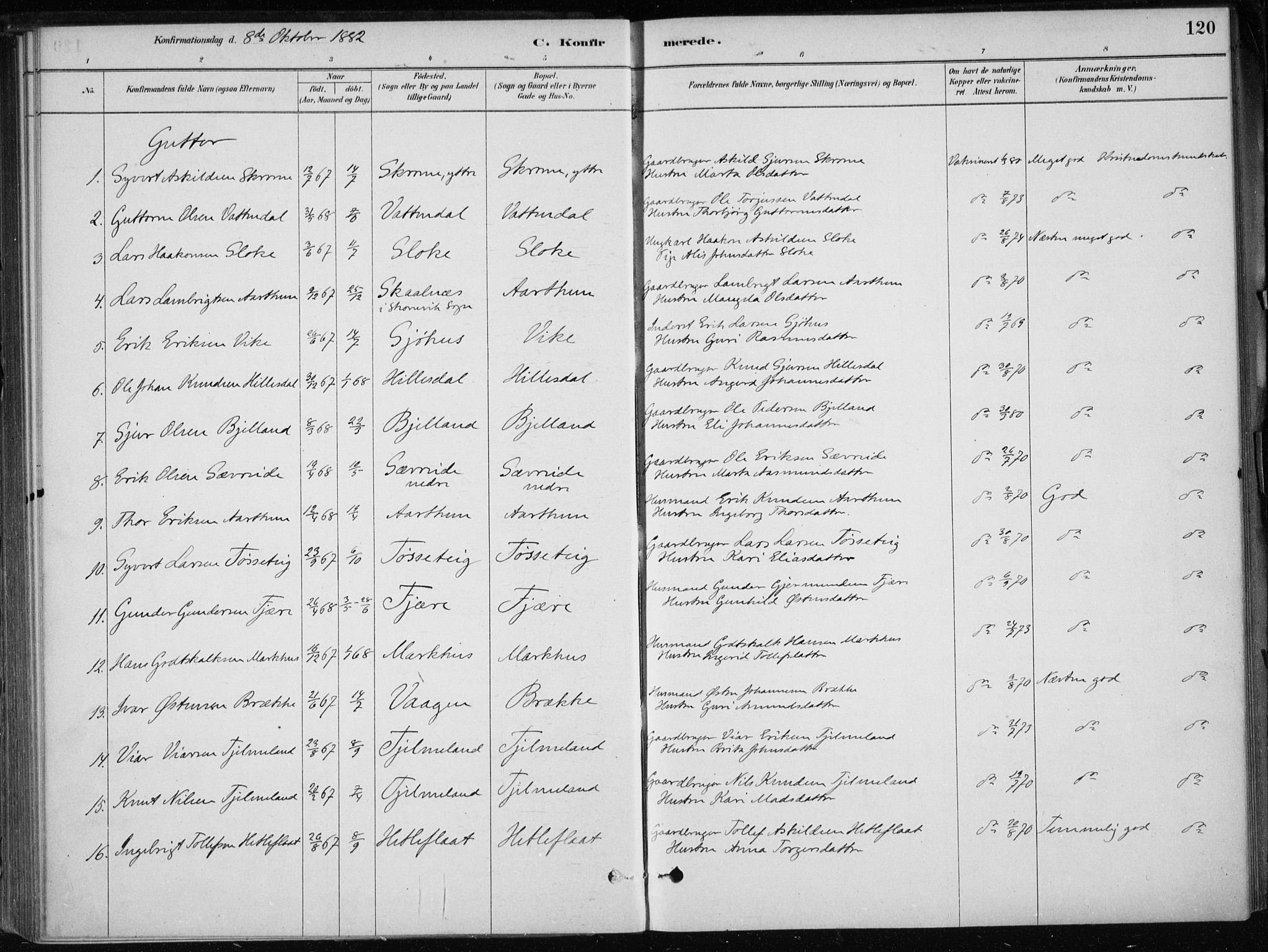 Skånevik sokneprestembete, SAB/A-77801/H/Haa: Parish register (official) no. E  1, 1879-1901, p. 120